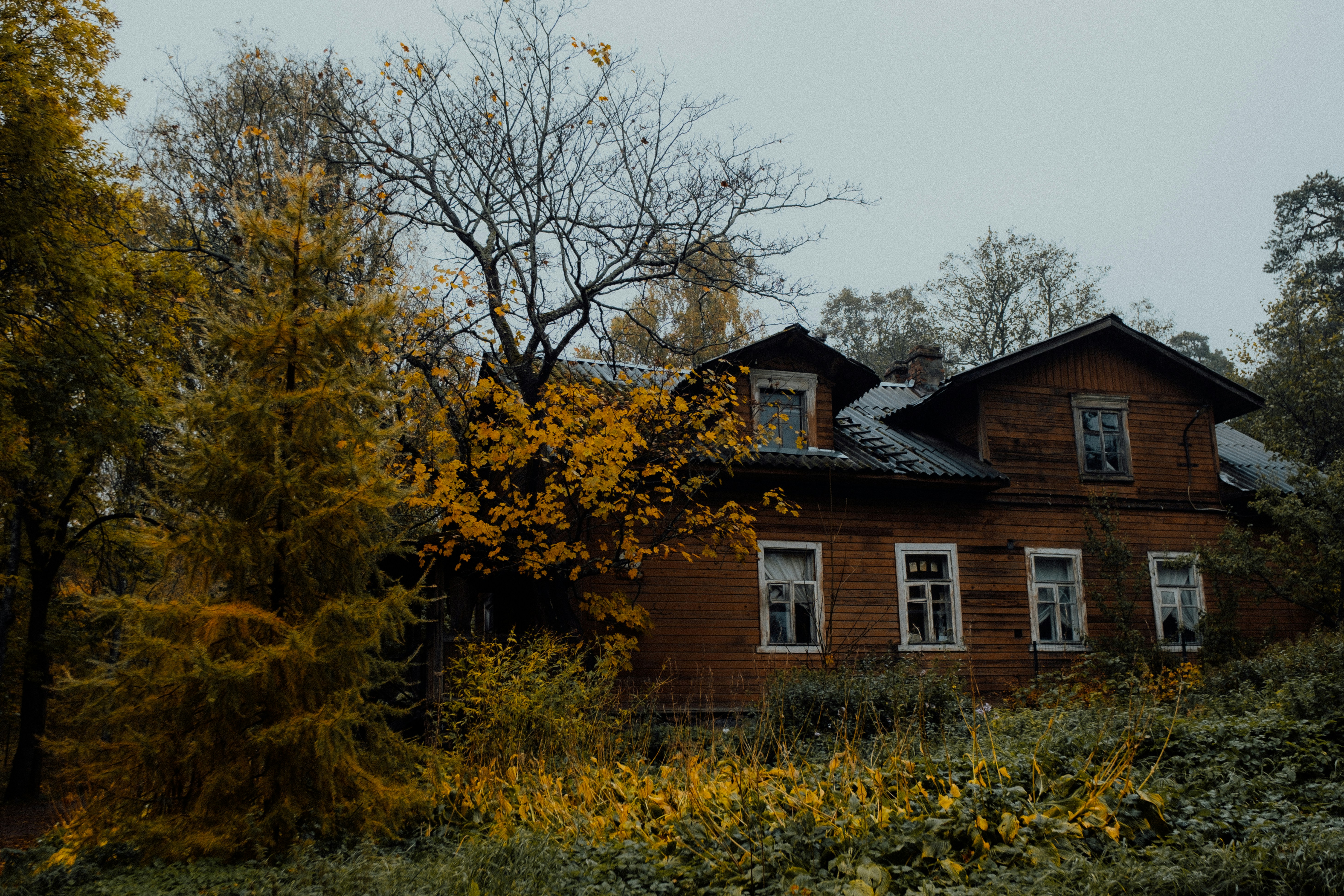 Photo by valentinakond