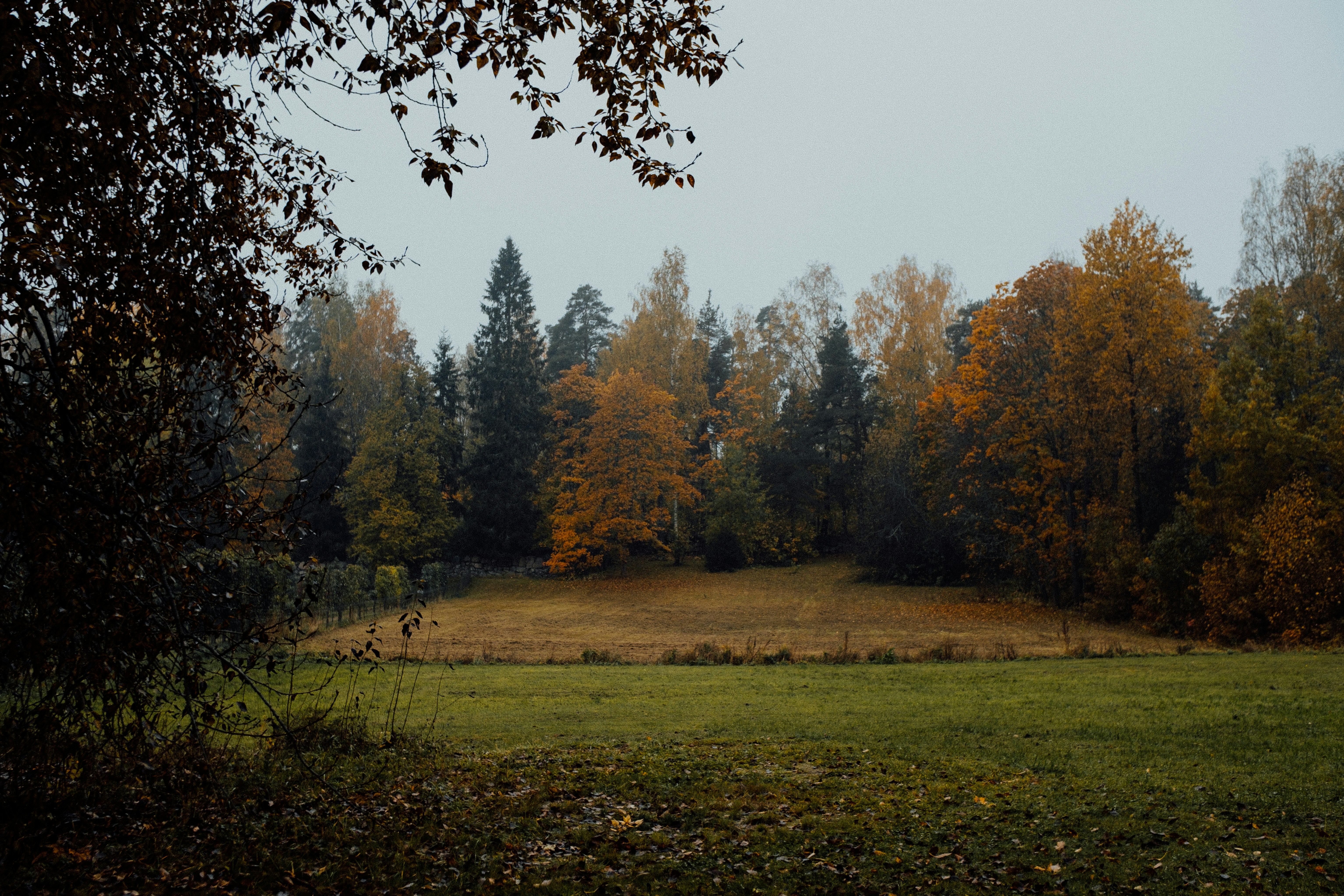 Photo by valentinakond