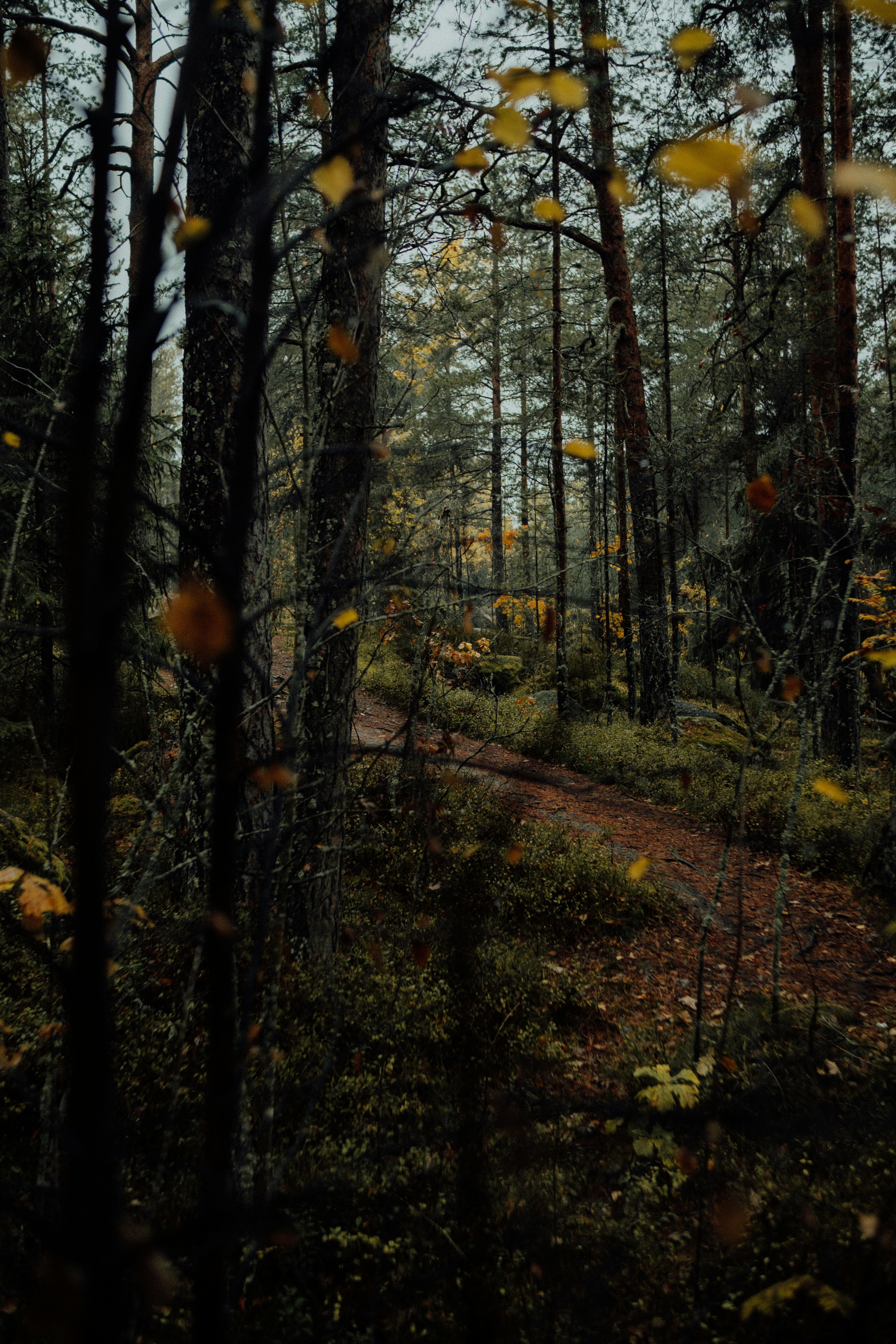 Photo by valentinakond