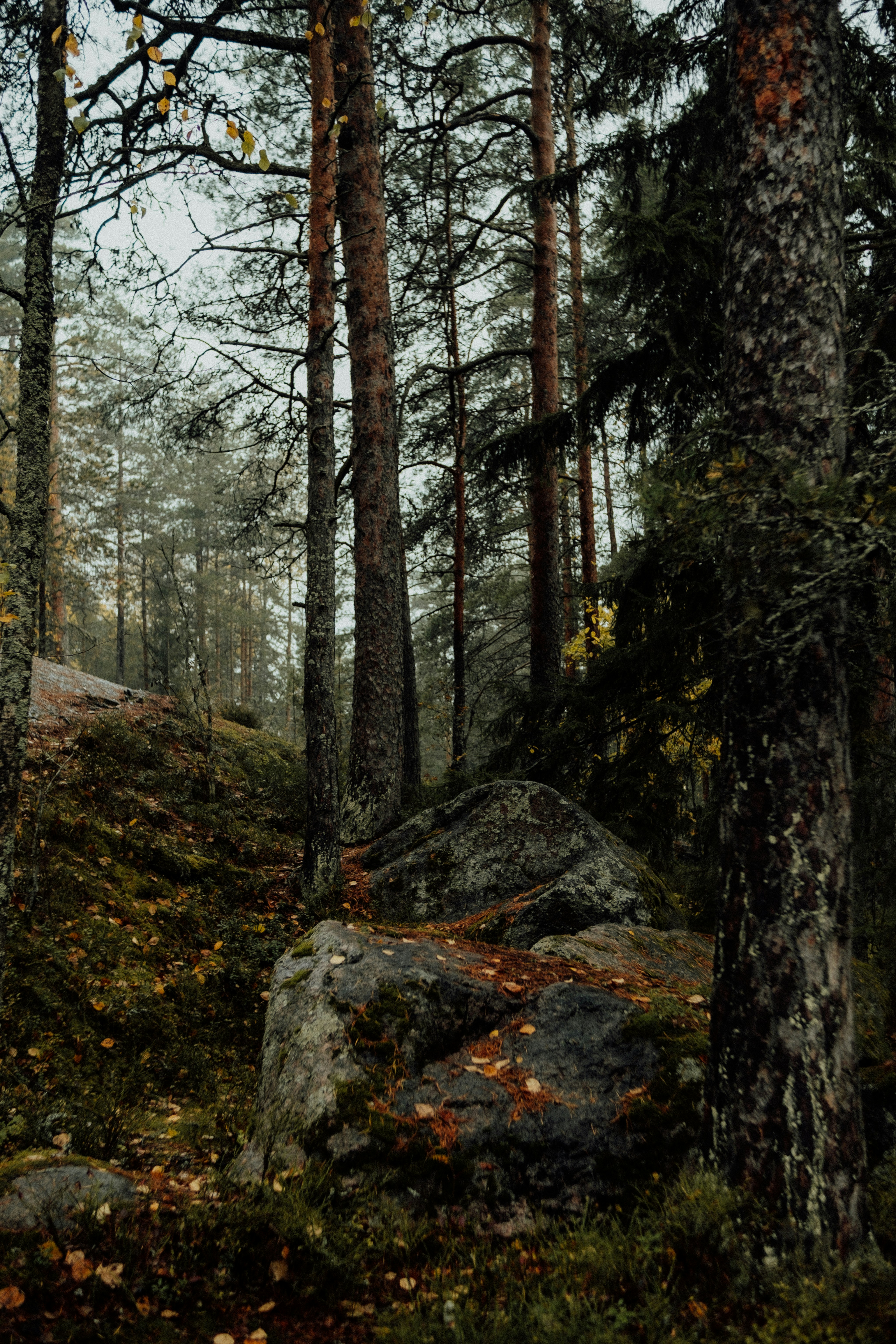 Photo by valentinakond