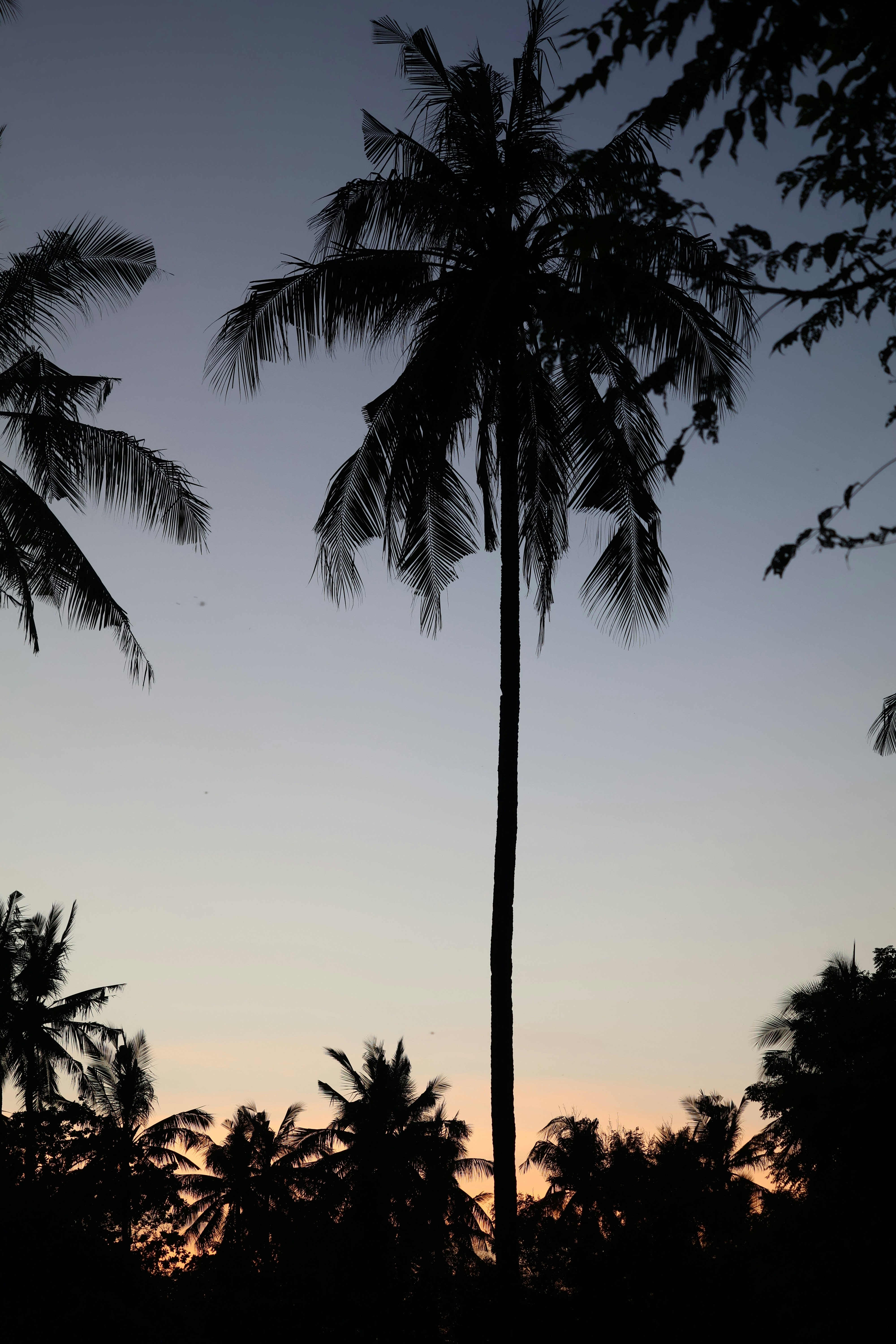 Photo by lindielambrechts