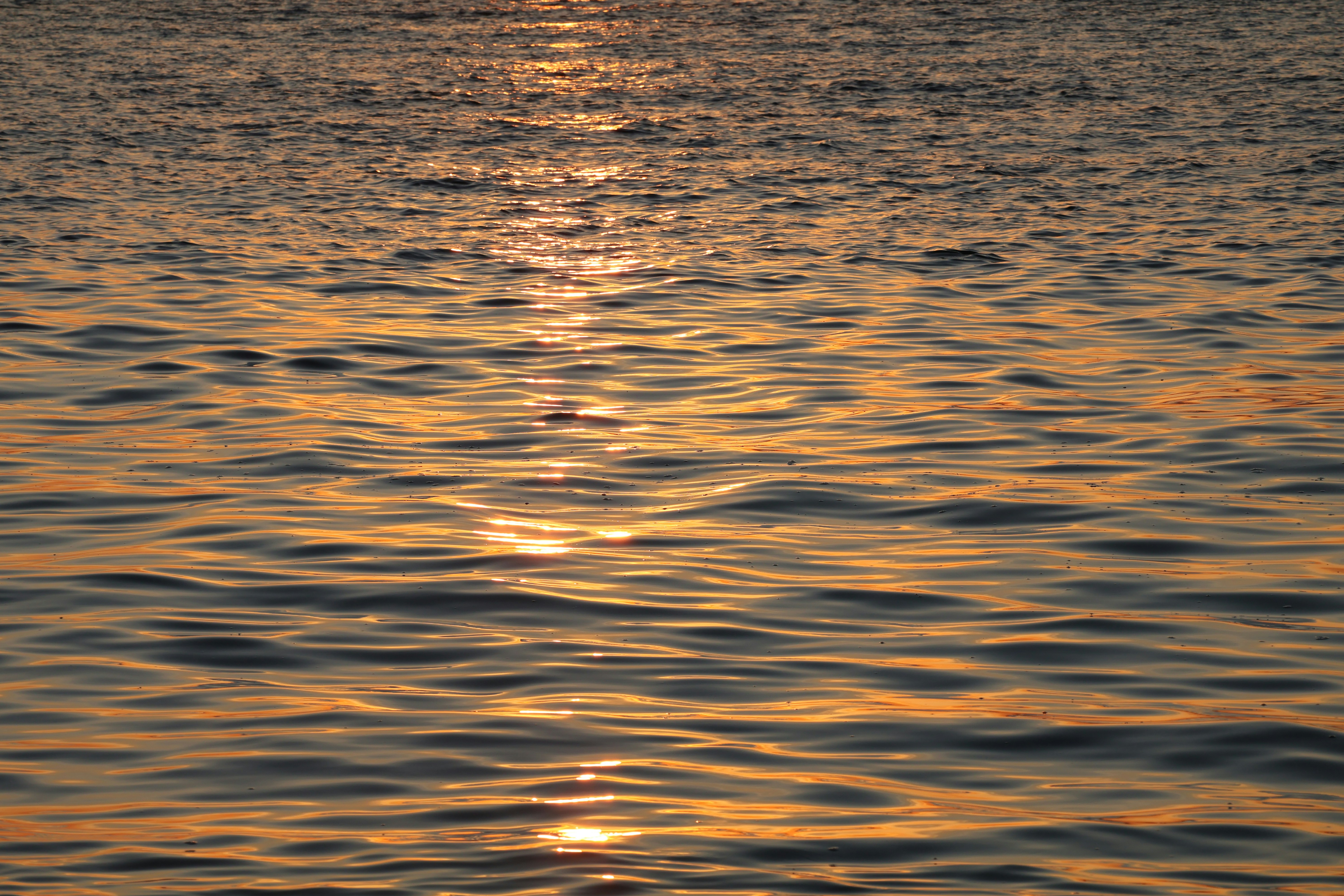 Photo by lindielambrechts