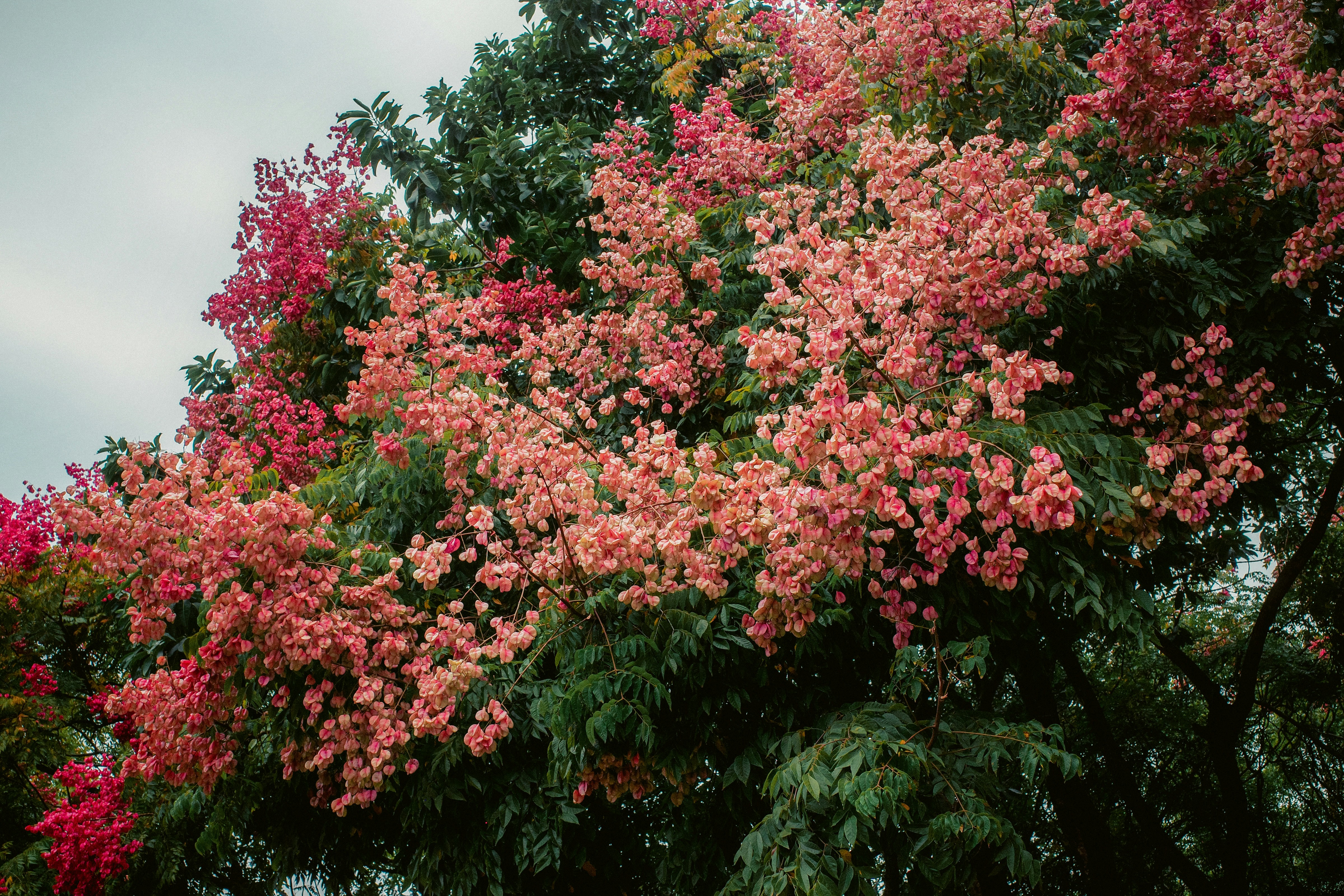 Photo by dickenslin76