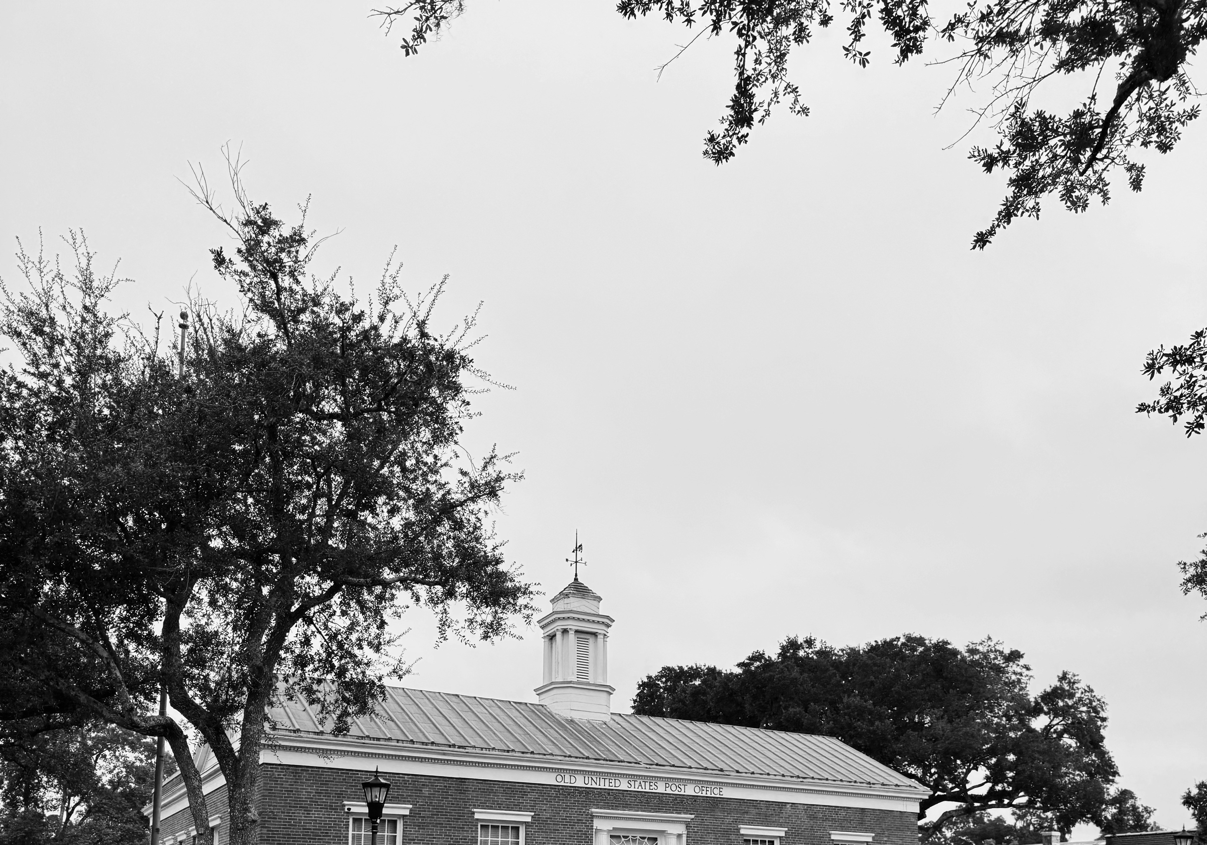 Historic building with trees framing the view