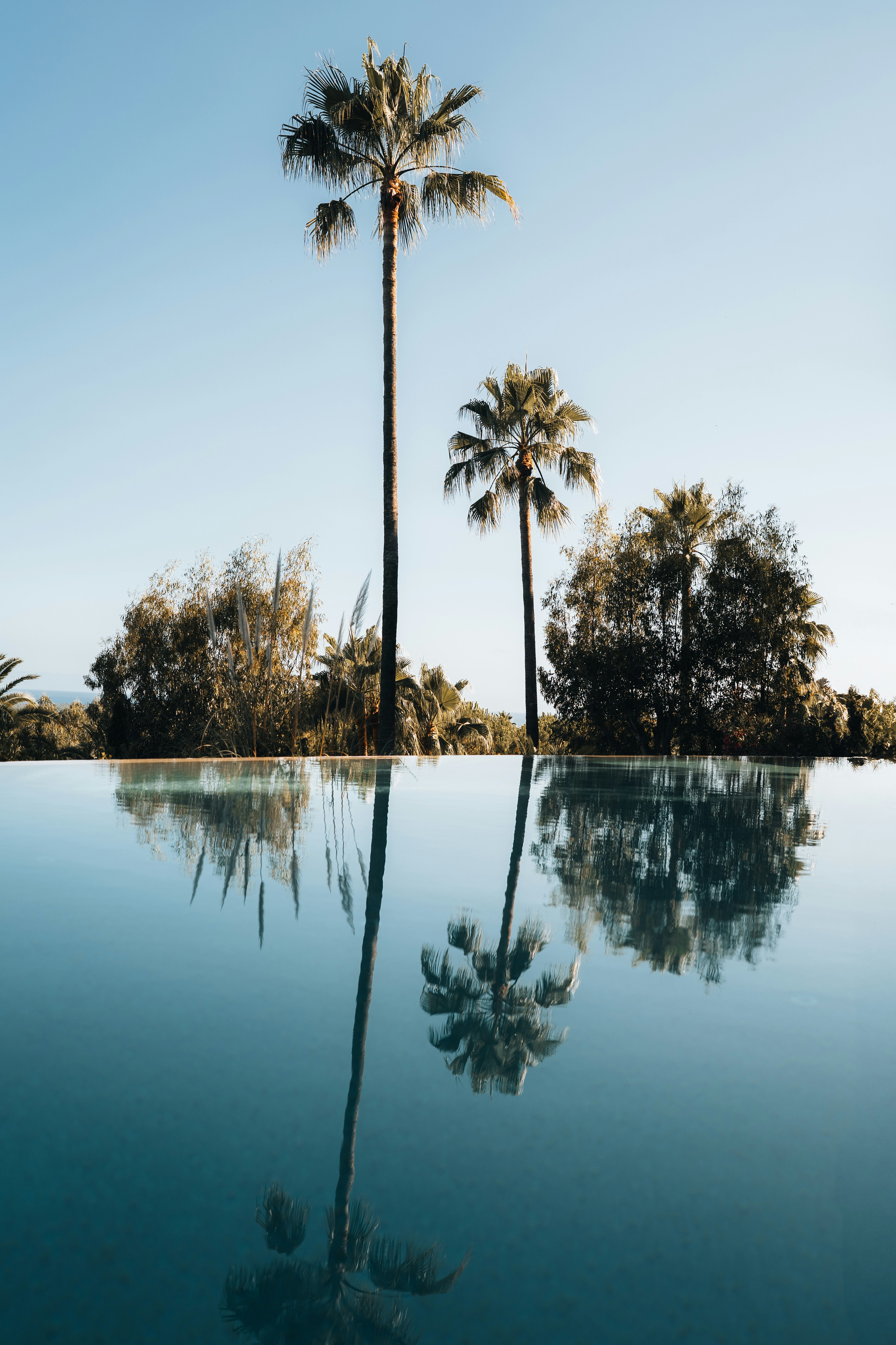 Photo by benjamin_photo_lab