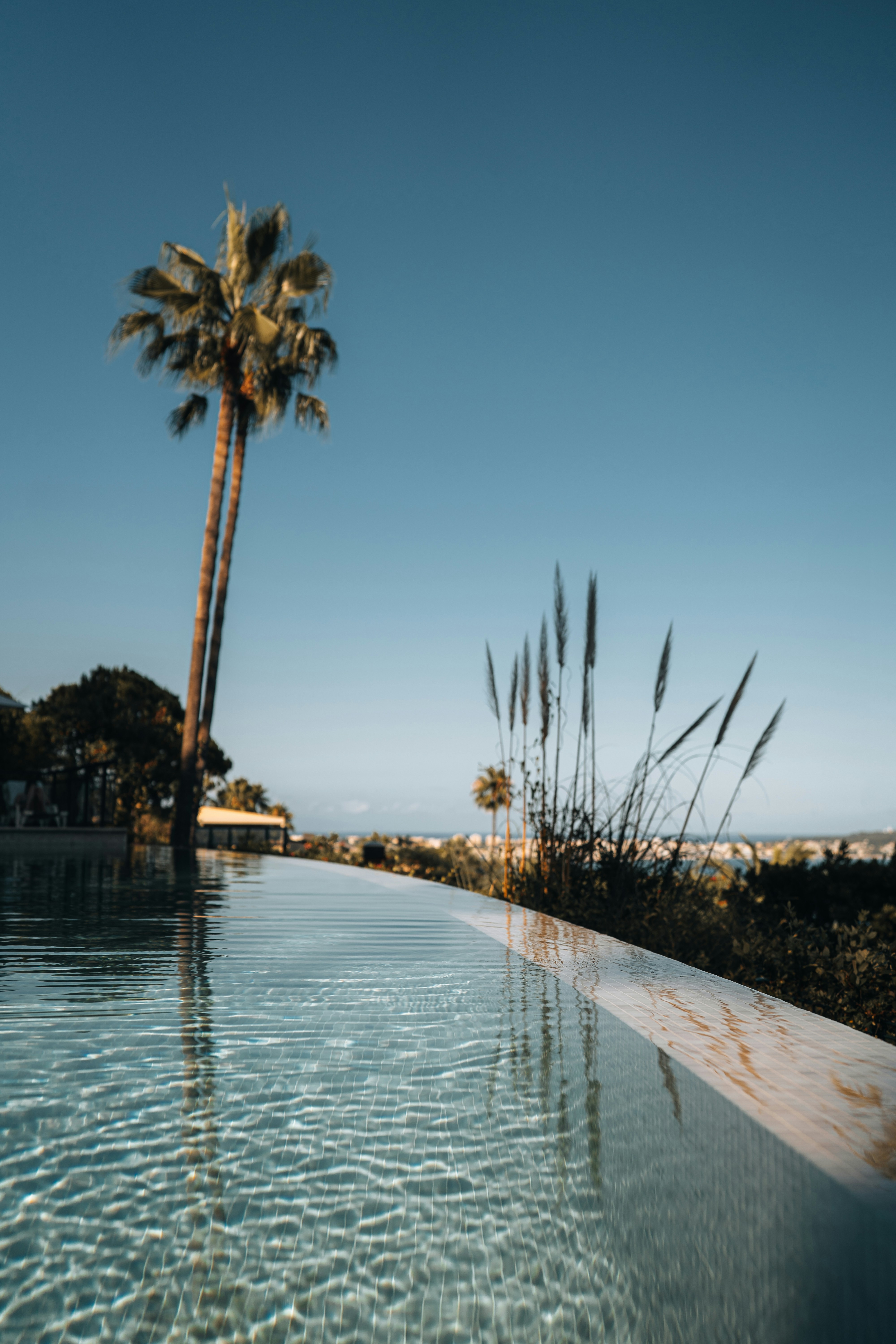 Photo by benjamin_photo_lab