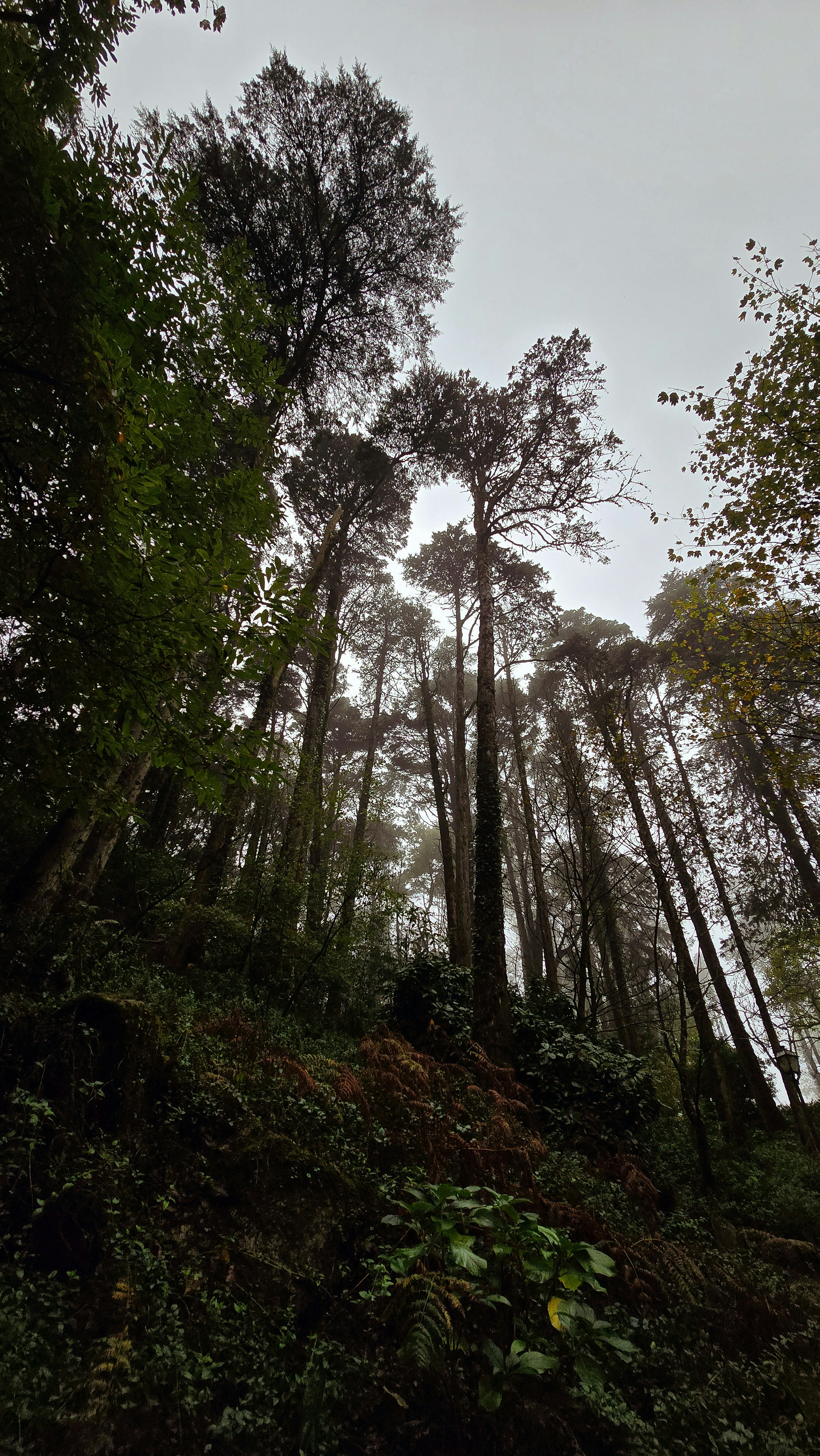 Photo by lucidistortephoto