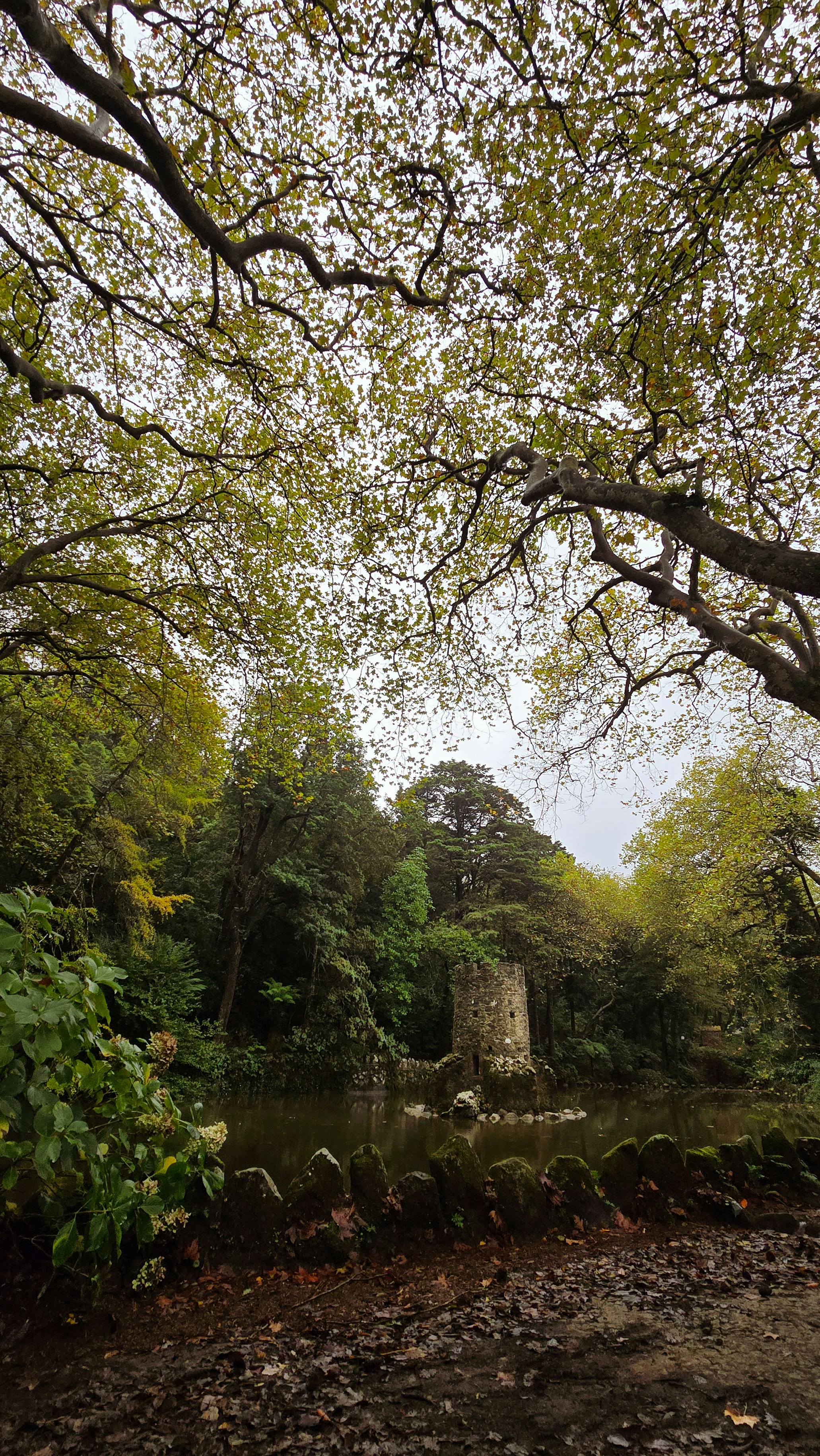 Photo by lucidistortephoto