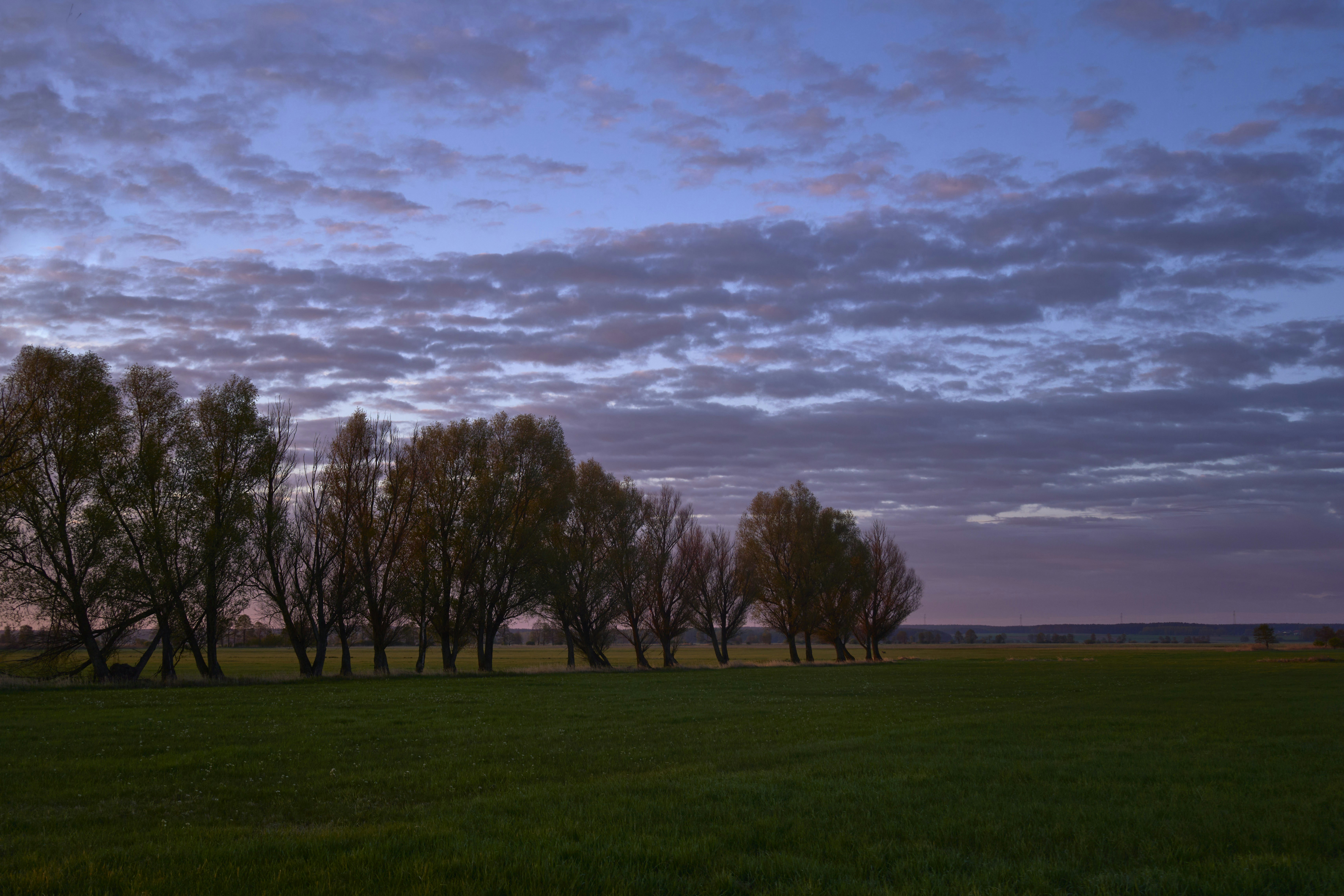 Photo by wolfgang_hasselmann