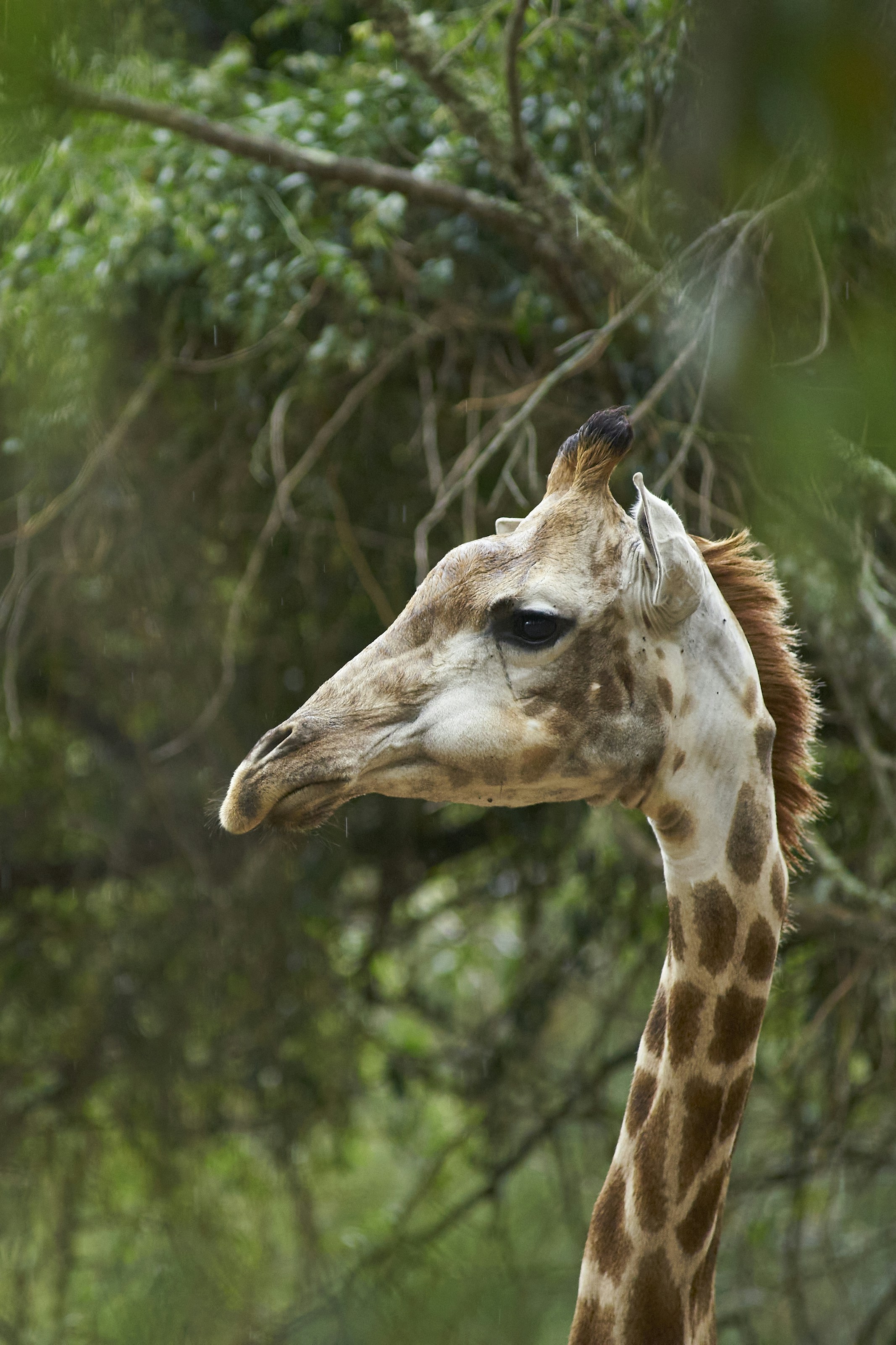 Photo by wolfgang_hasselmann