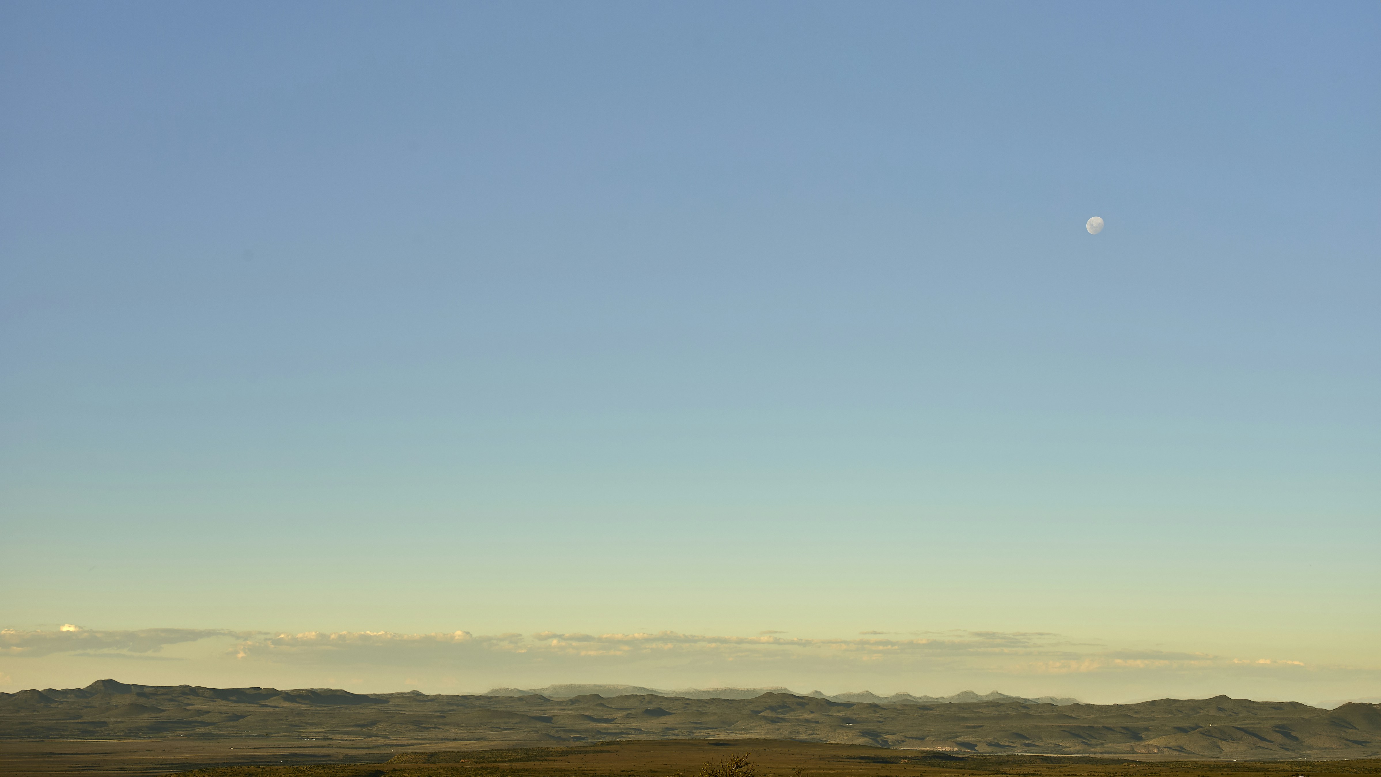 Photo by wolfgang_hasselmann