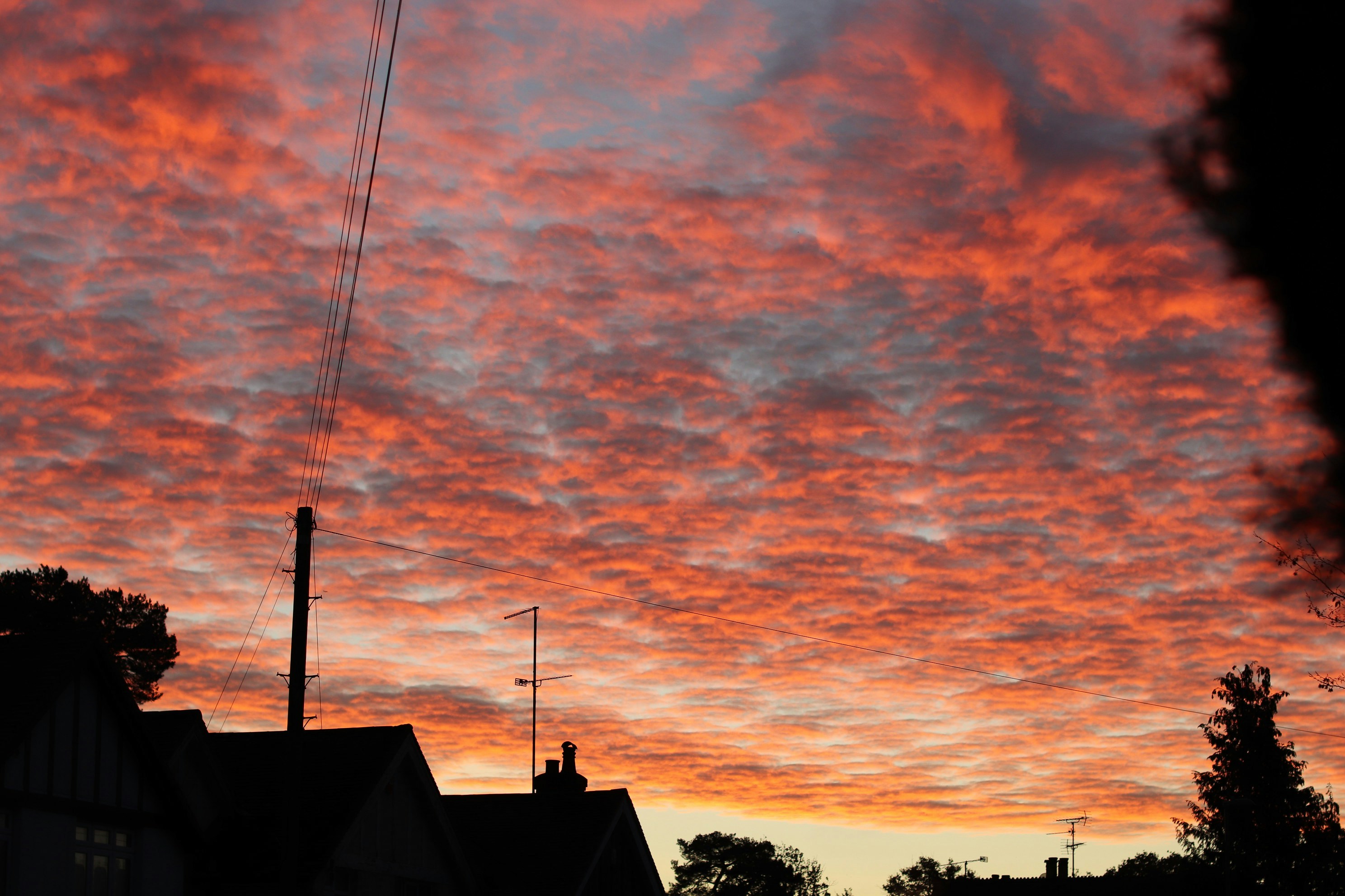 Photo by tanyabarrow