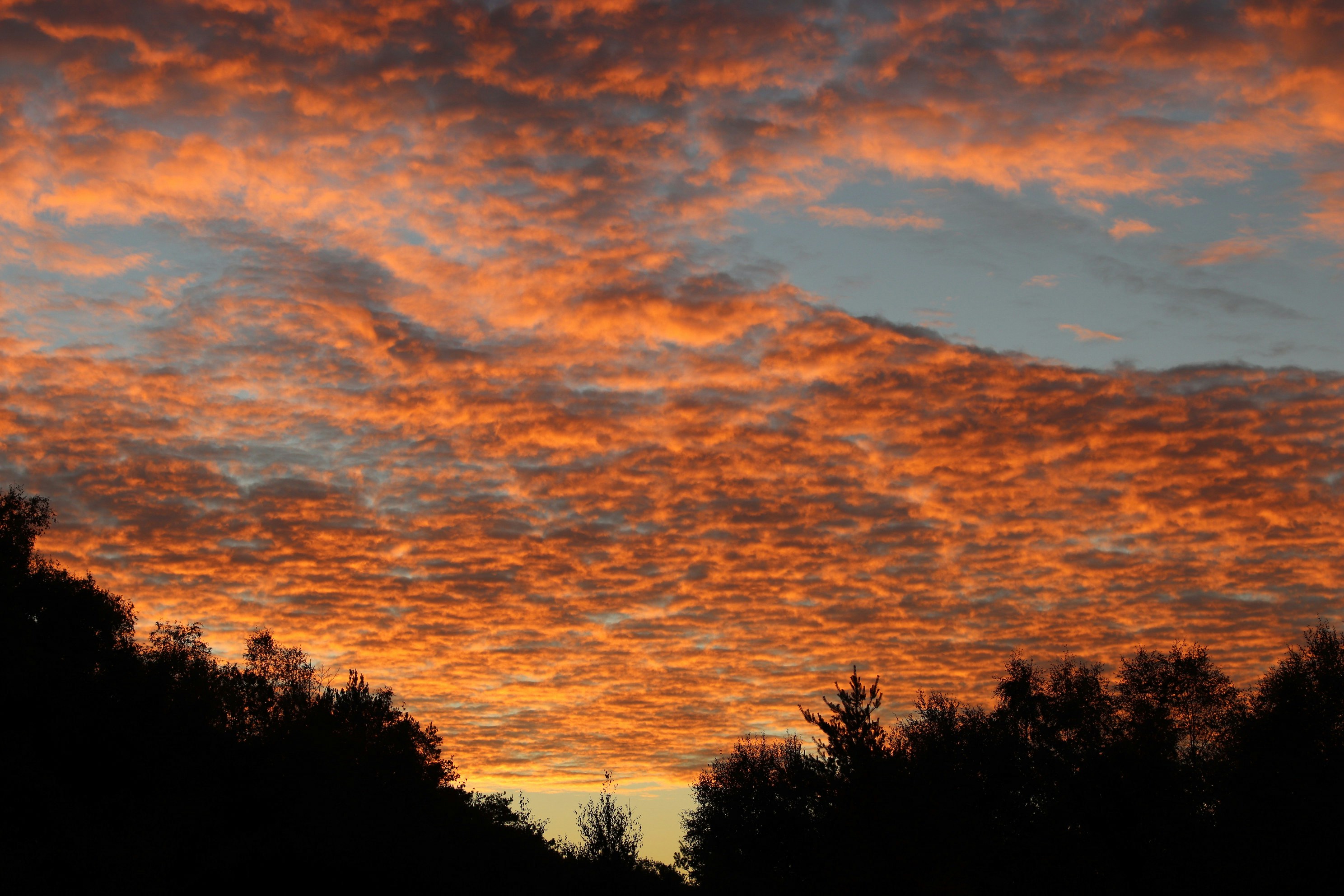 Photo by tanyabarrow