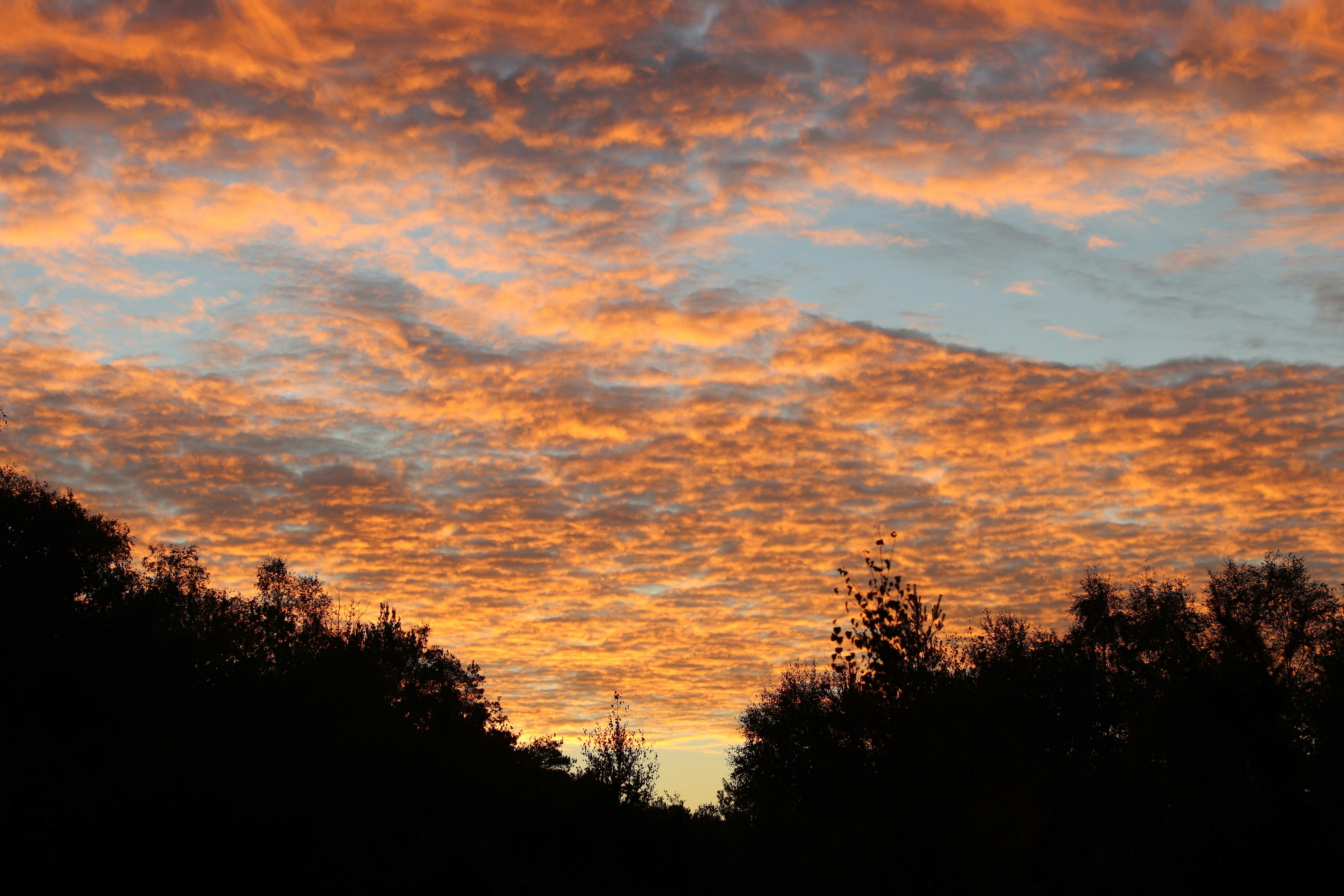 Photo by tanyabarrow