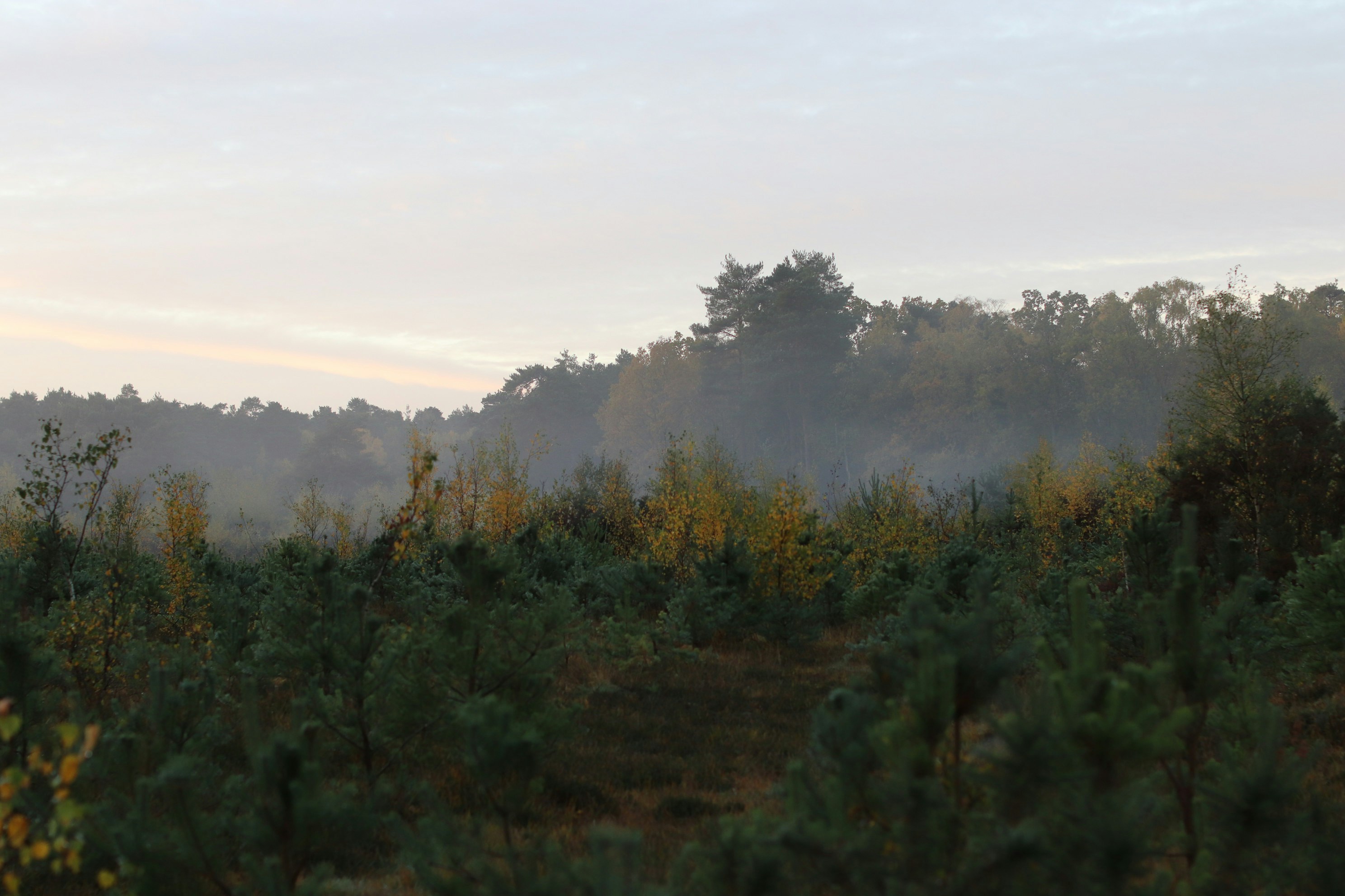 Photo by tanyabarrow