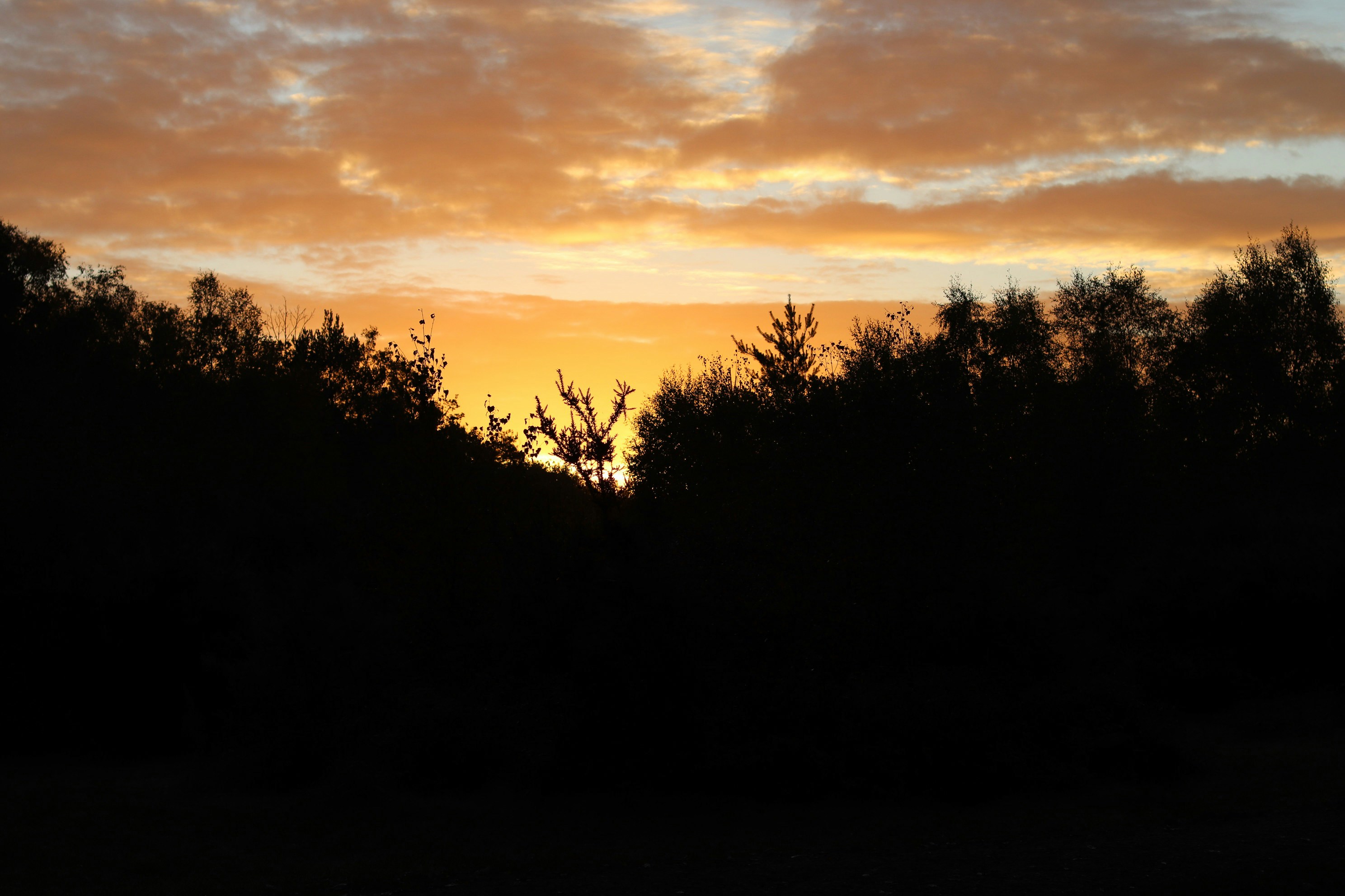 Photo by tanyabarrow