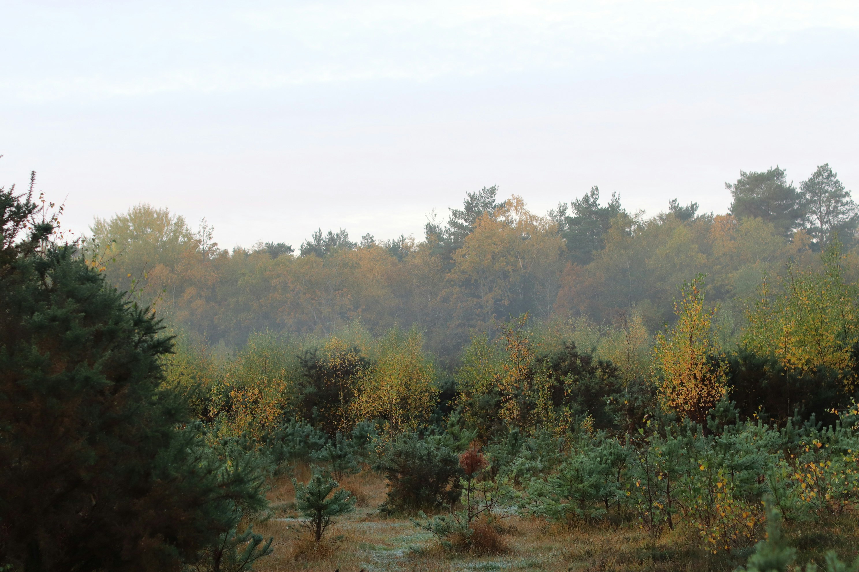 Photo by tanyabarrow