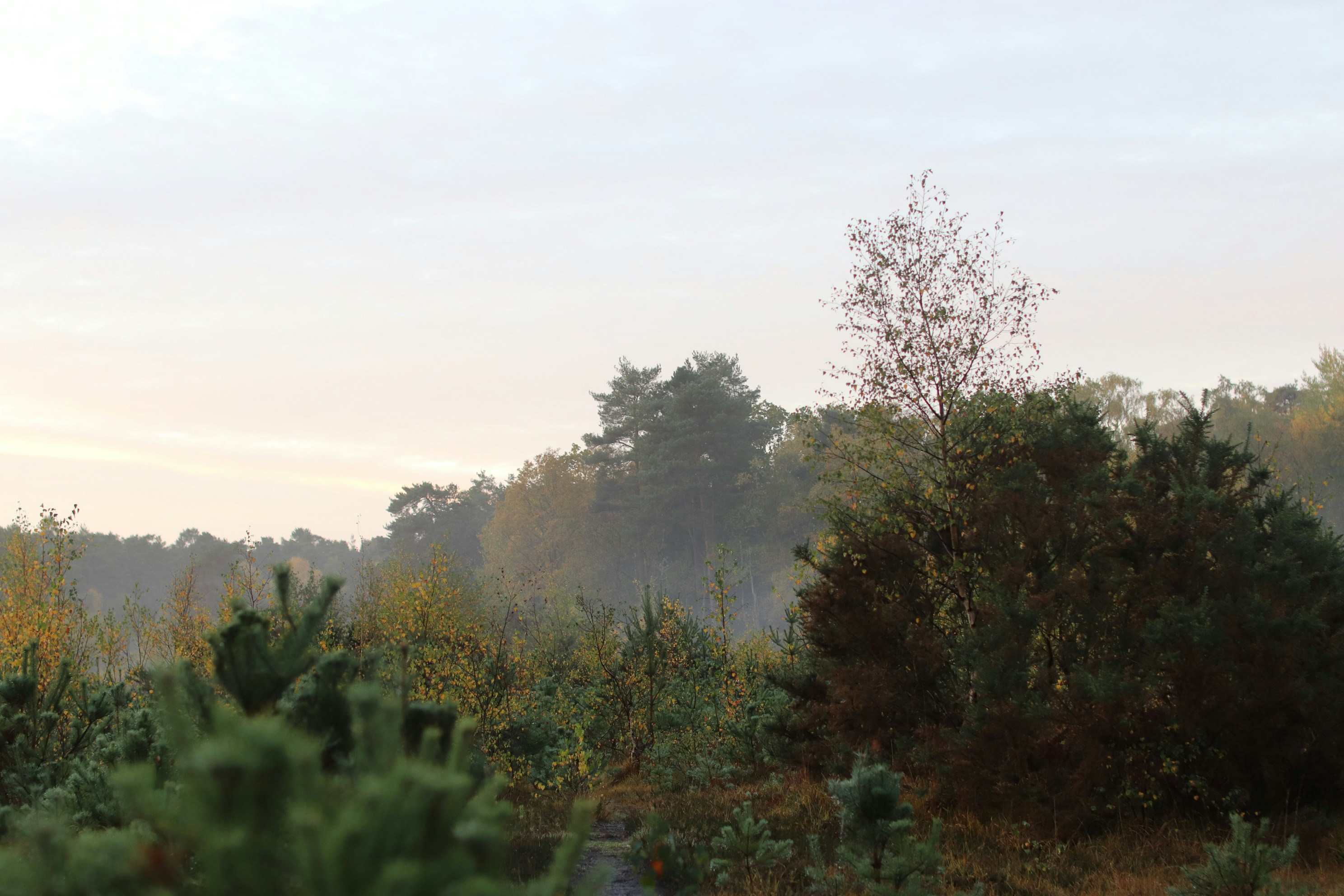 Photo by tanyabarrow