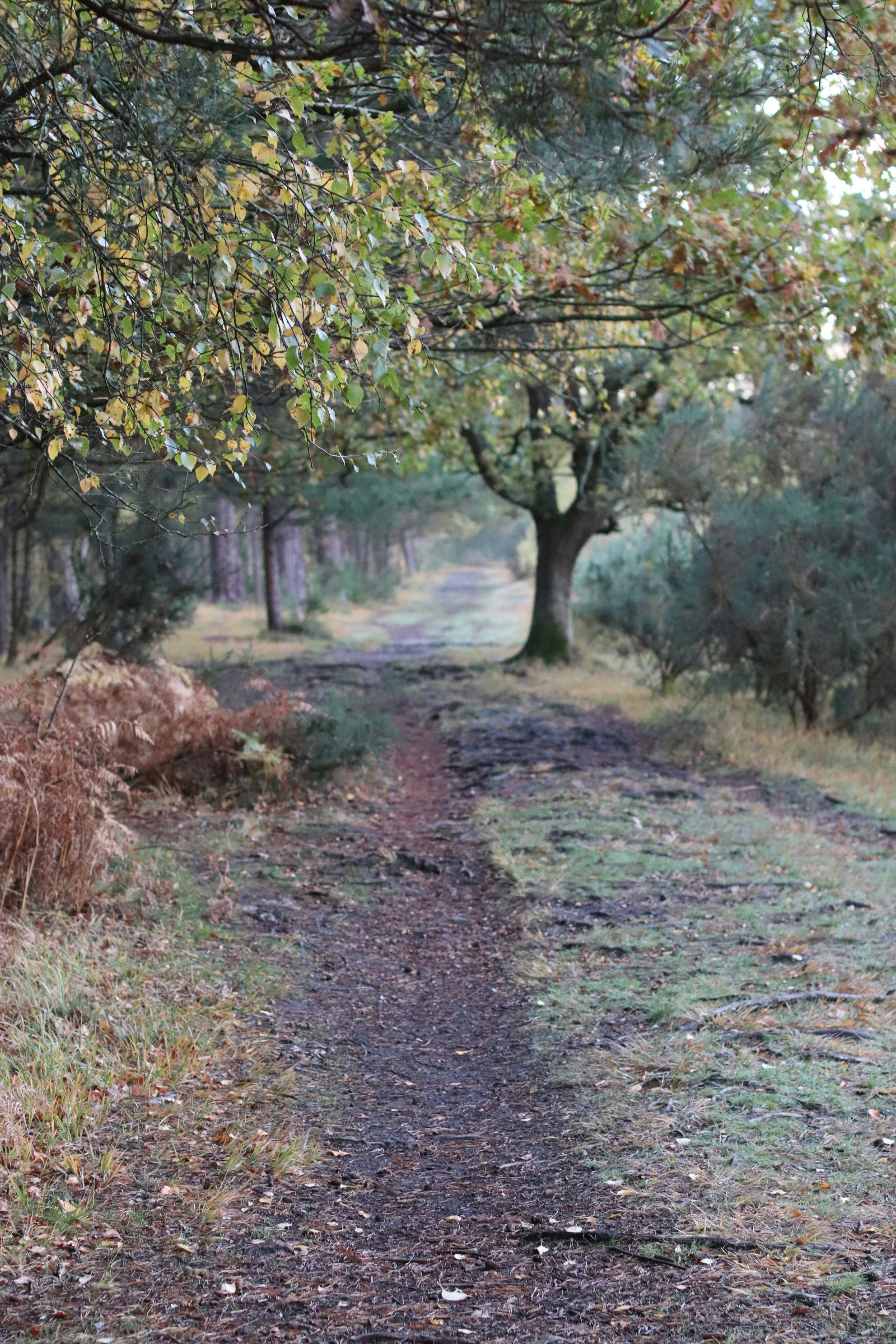 Photo by tanyabarrow