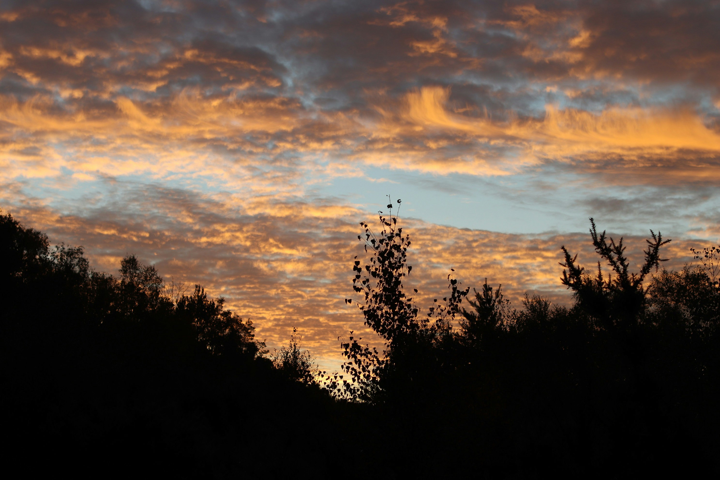 Photo by tanyabarrow