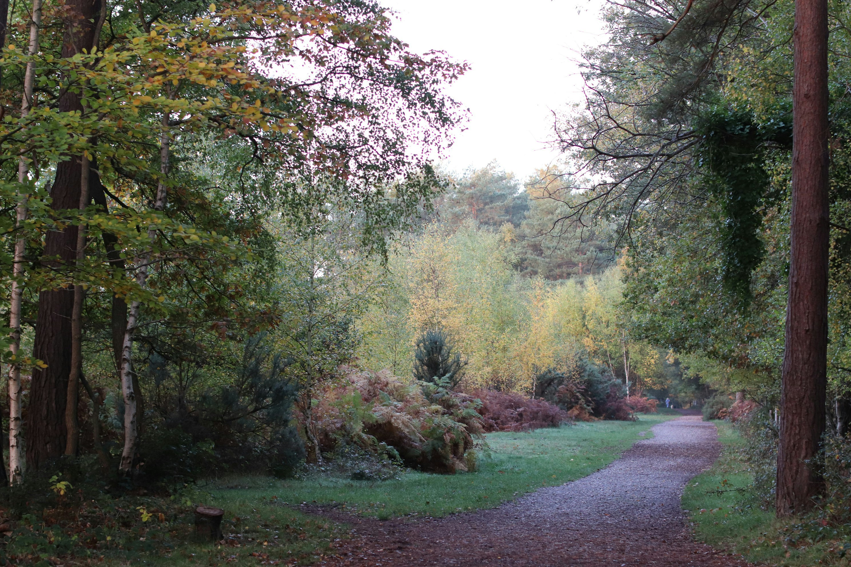 Photo by tanyabarrow