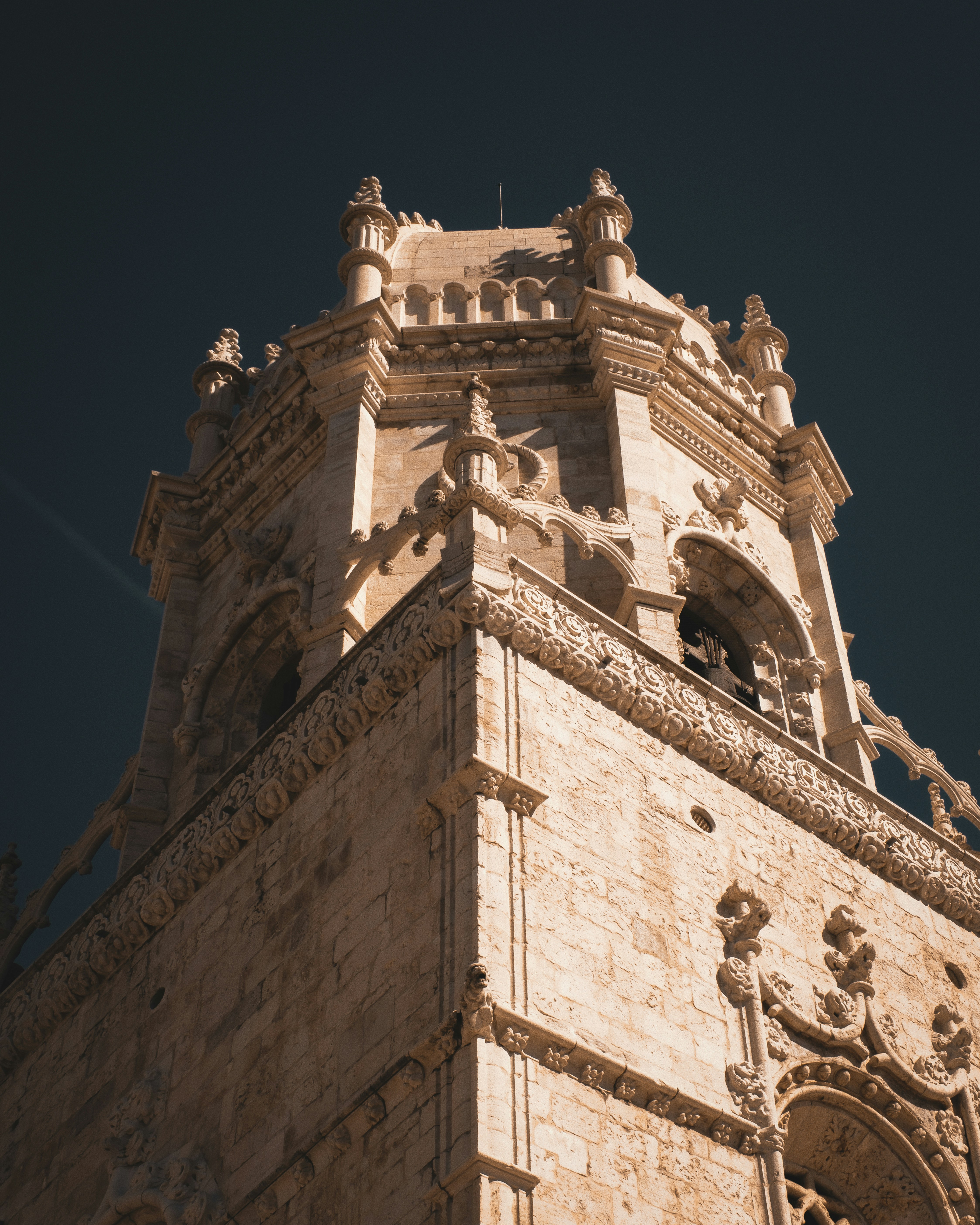 Photo by farnaz________