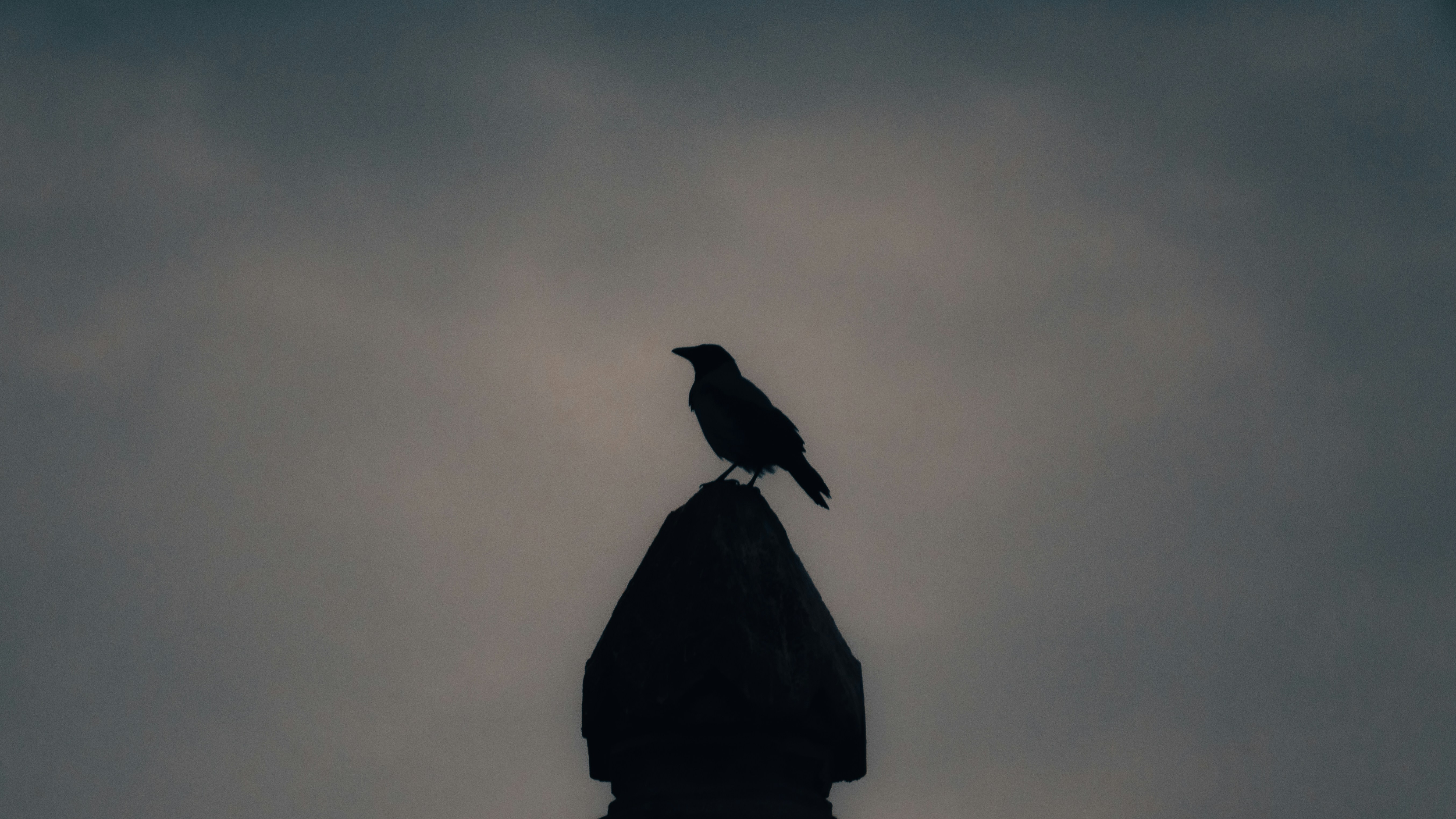 Photo by tunahankuzgun