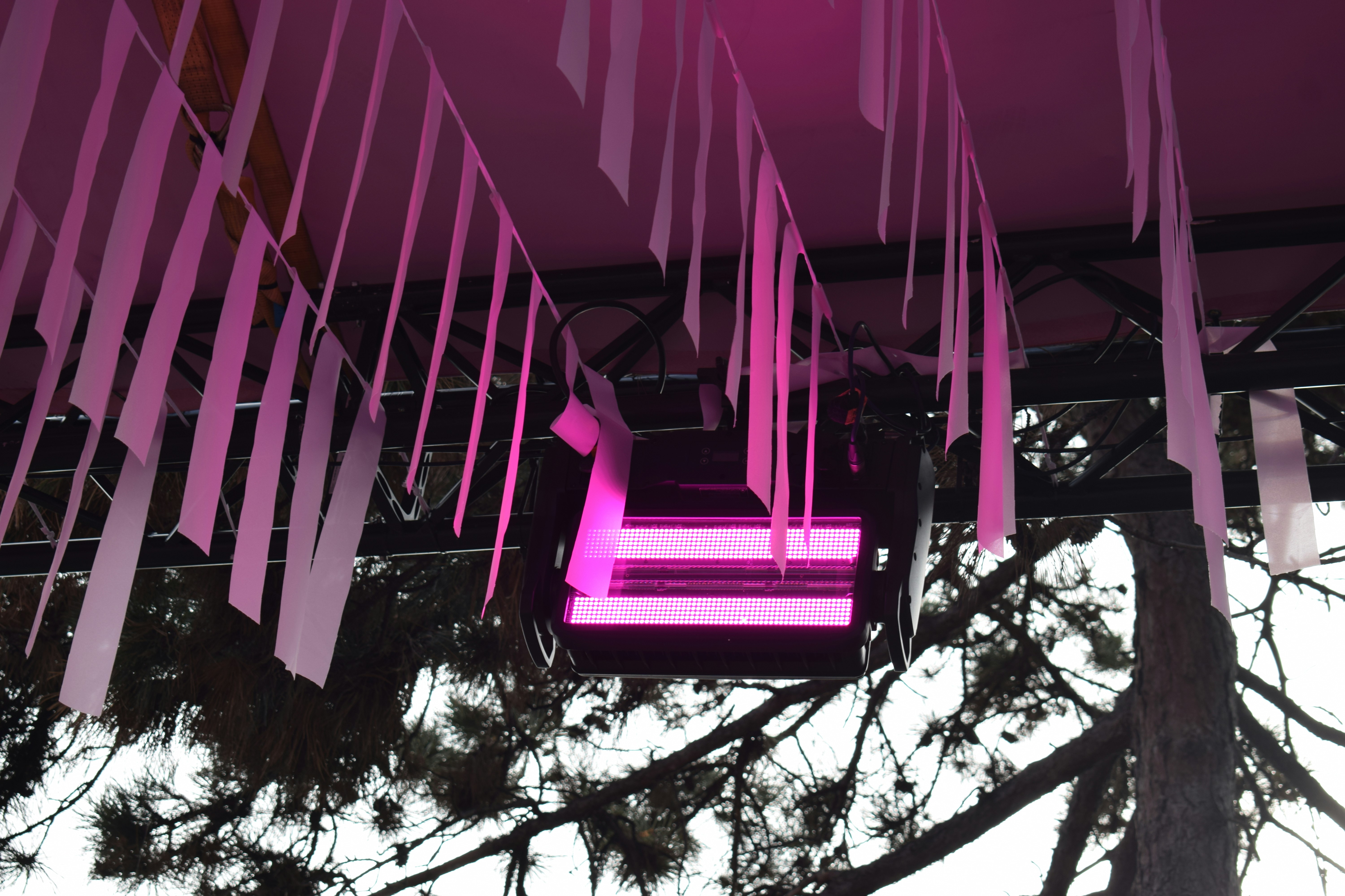 Pink light fixture with white streamers above trees