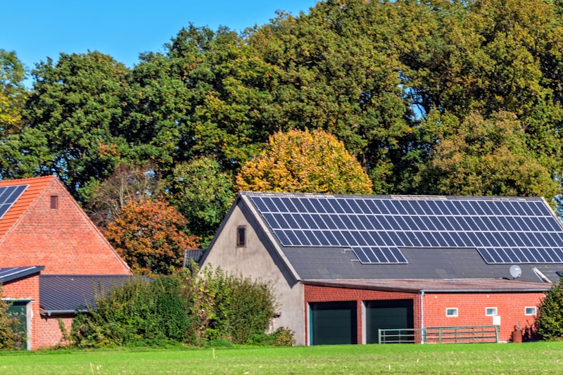 Barns with solar panels in a grassy field.