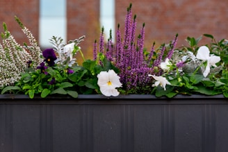 A planter box filled with colorful flowers and greenery.