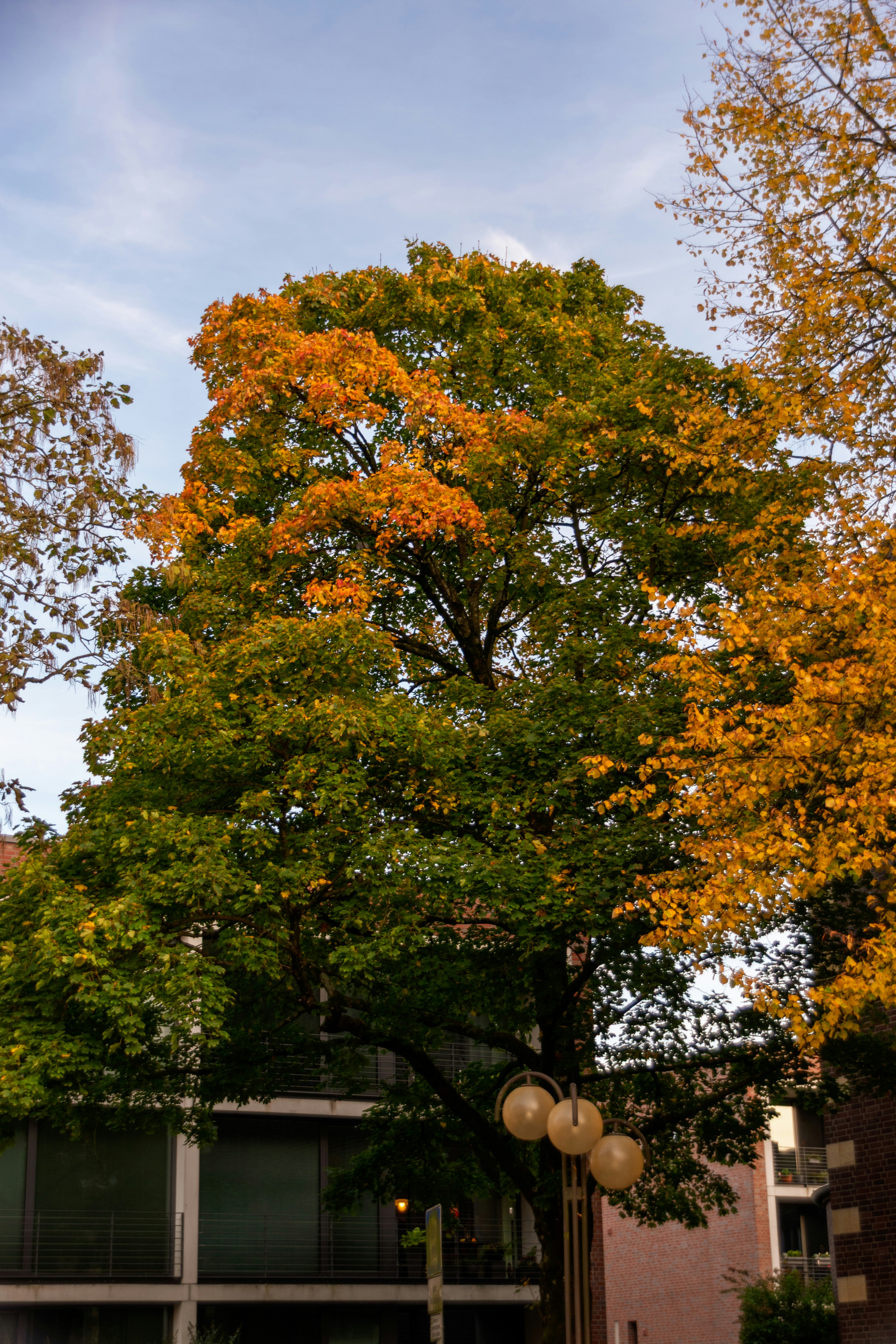 Photo by skstrannik