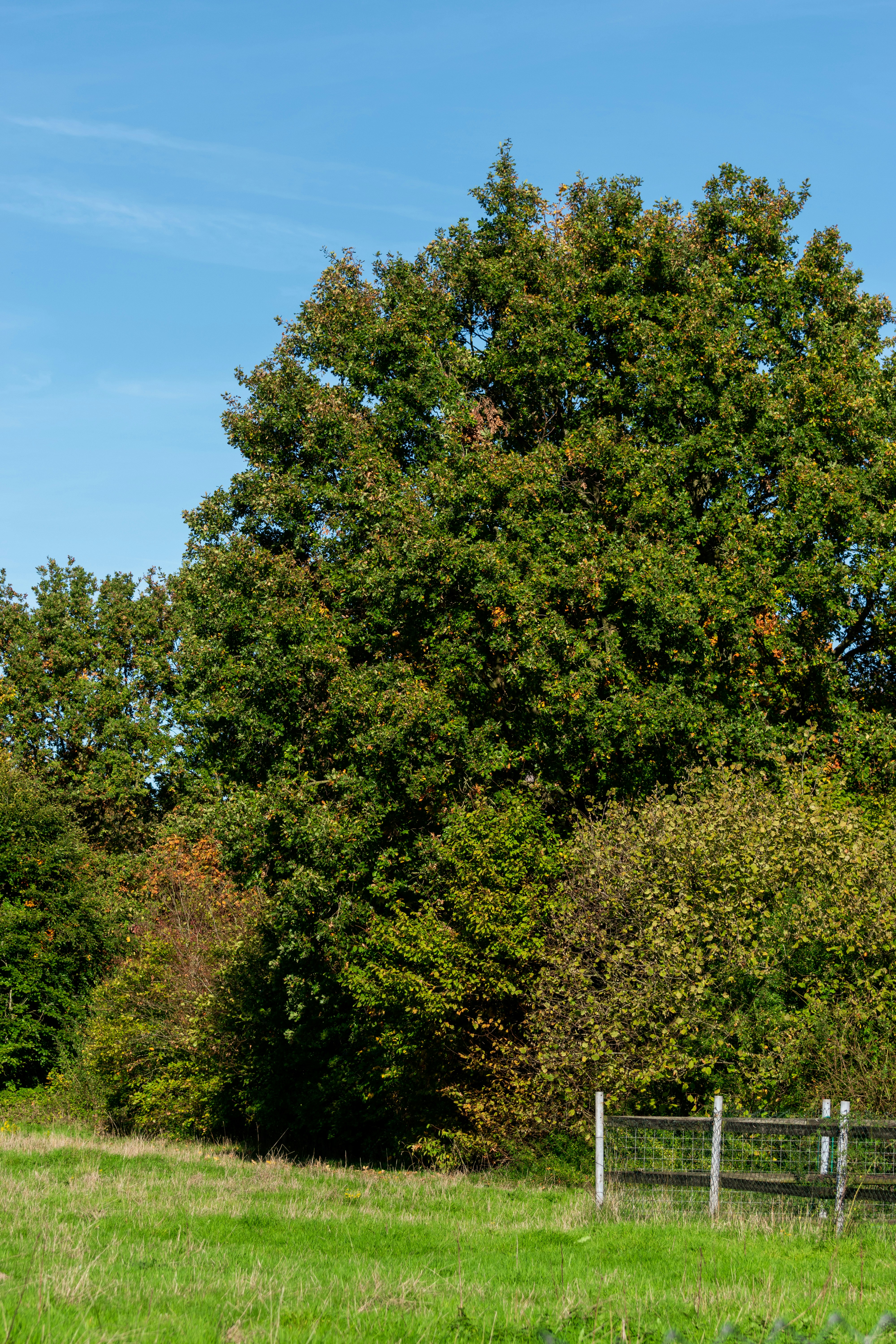 calm outdoor spaces, wallpaper, Zen Outdoor Patio: Creating a Relaxing Retreat 5