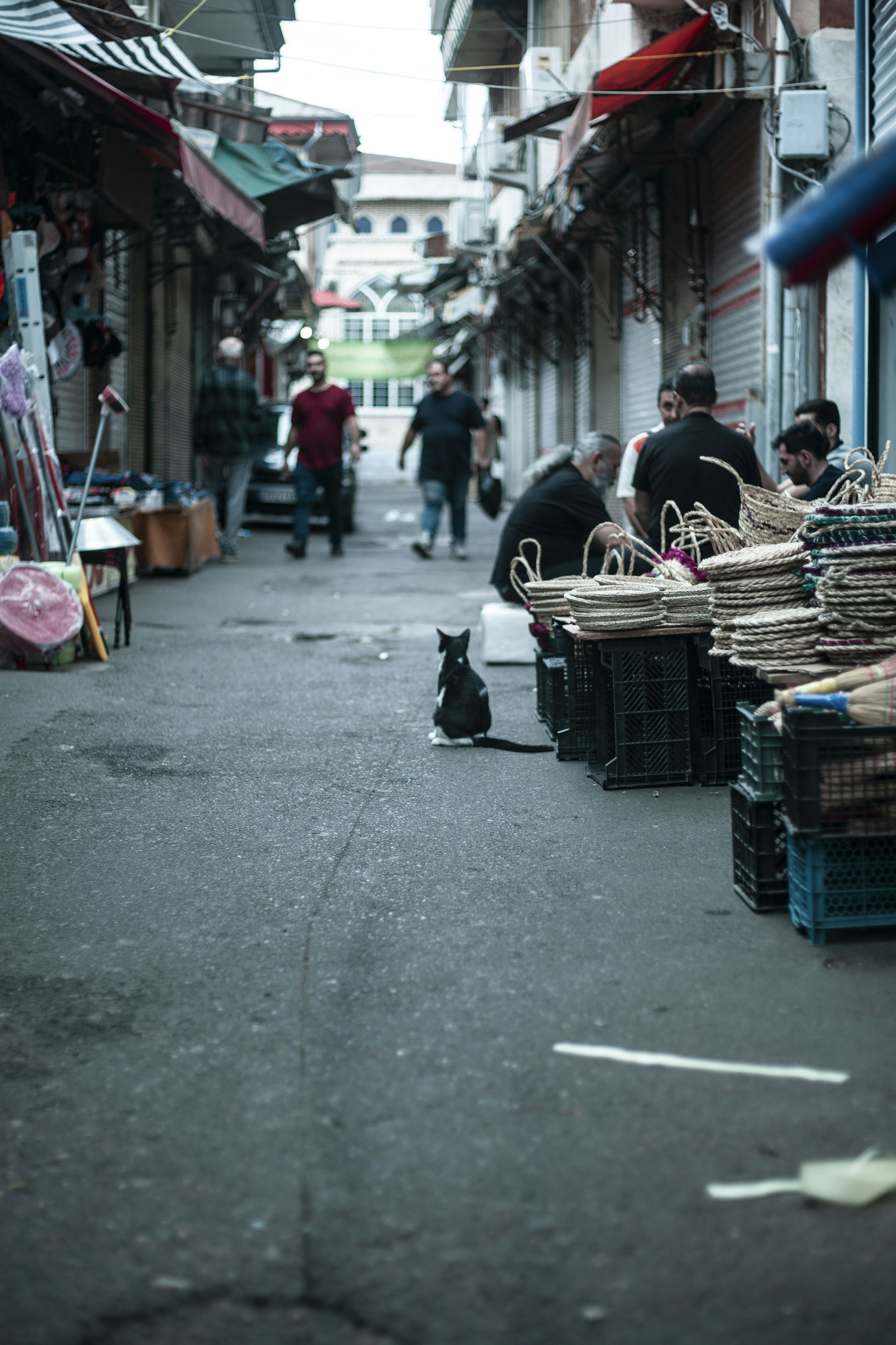 A black and white cat sits in a market alley.