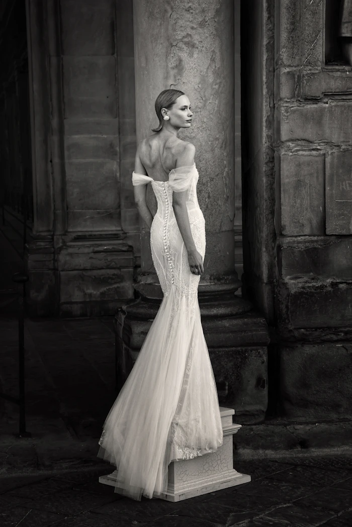 Stock photo: gown from behind — train and back detail mood (illustrative only)