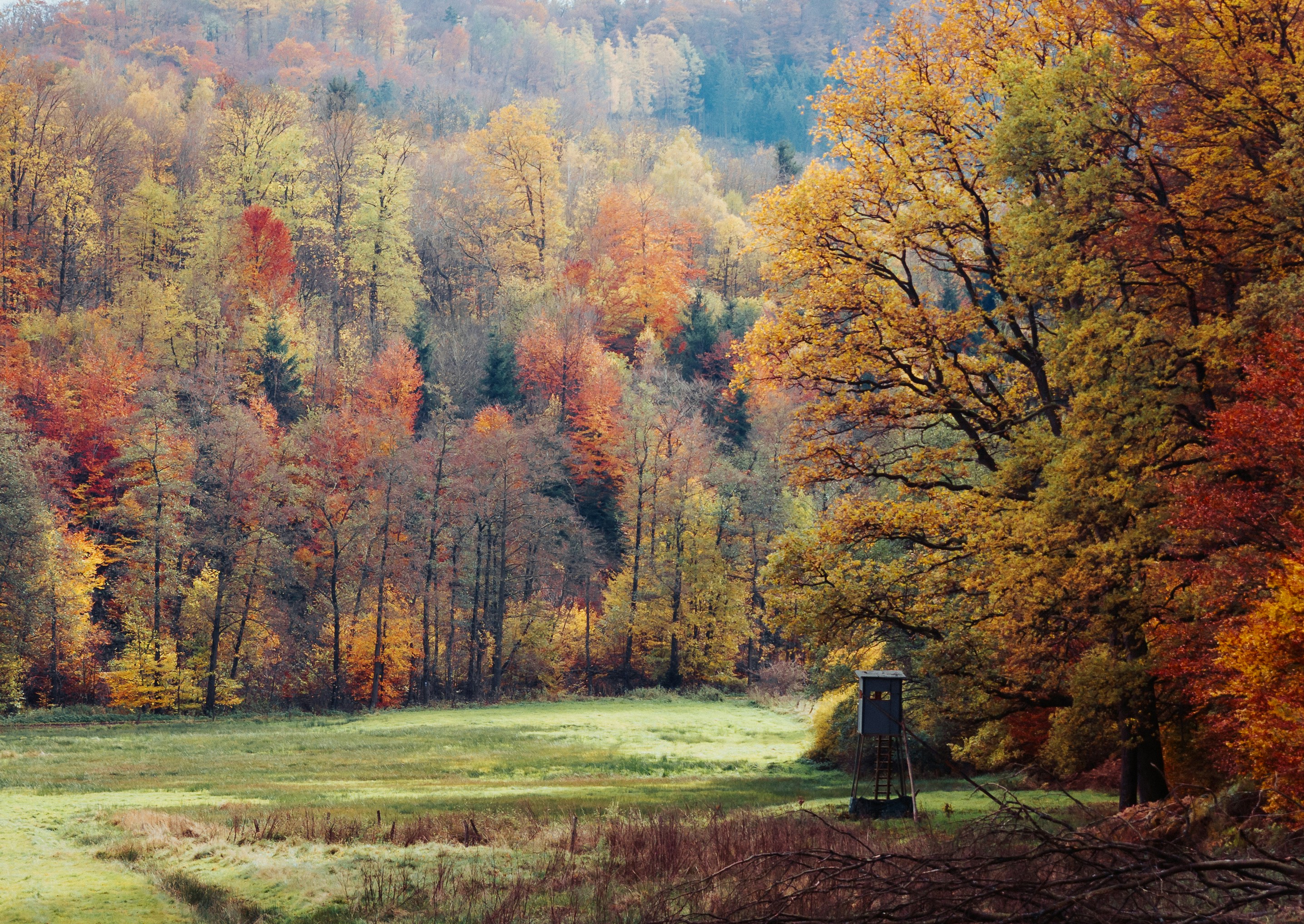 Photo by thomasdrechsler