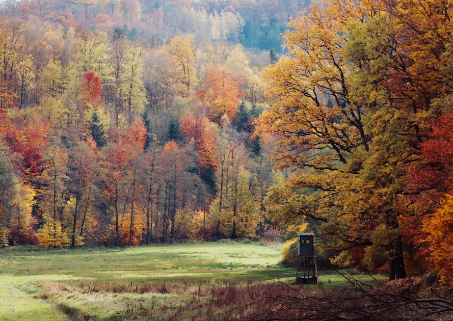 Sweeping mountain wilderness landscape with forested ridges and alpine peaks — prime western hunting country