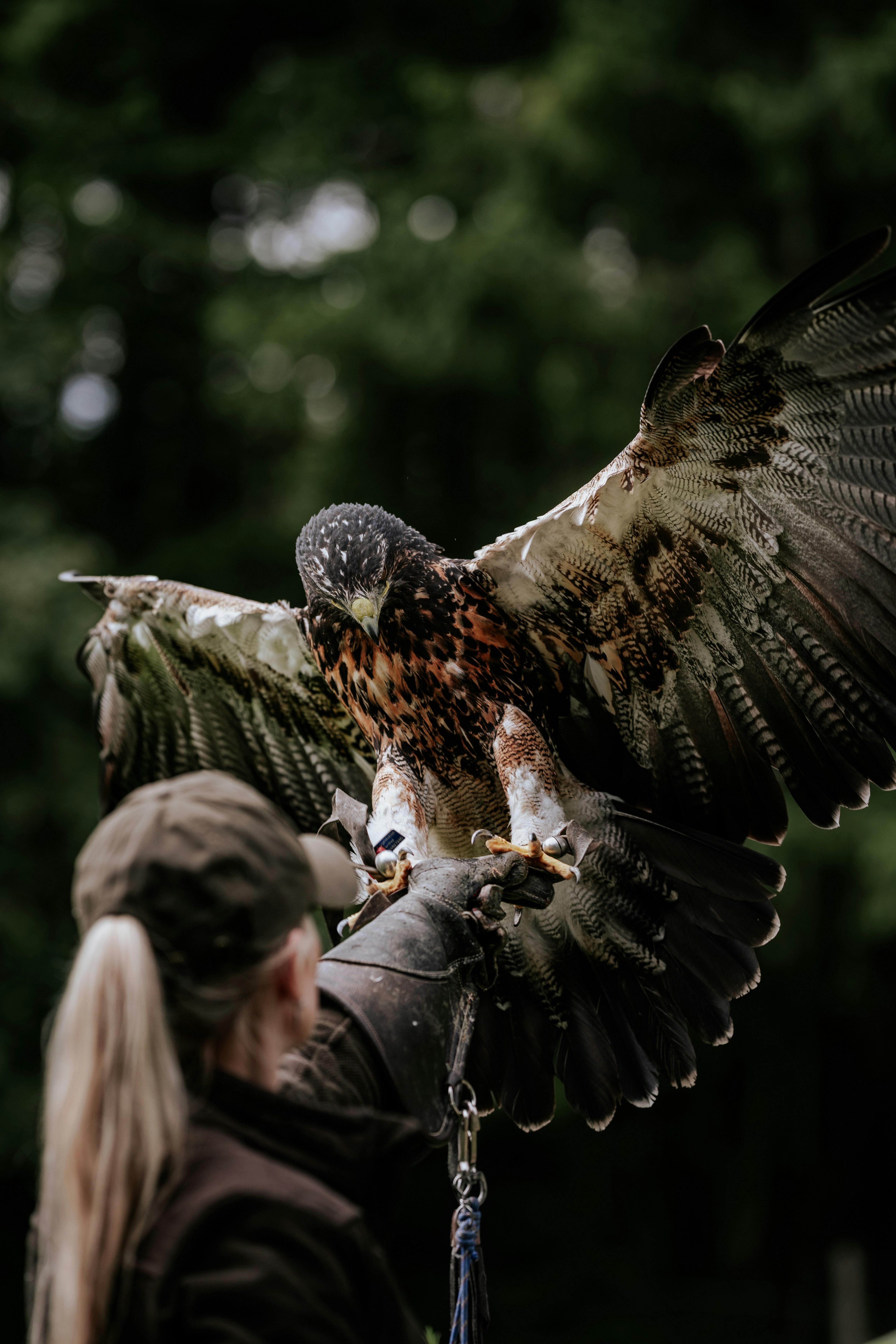 Photo by thomasdrechsler