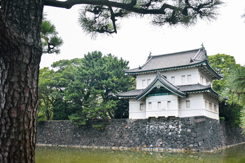 The image depicts a traditional Japanese temple nestled within a lush, verdant landscape. The temple is painted white and features a green roof with a small tower on top. It is situated next to a tranquil pond, which reflects the surrounding greenery. A stone wall encircles the temple, adding an element of historical significance to the scene.

The image is taken from a low angle, emphasizing the height of the temple against the sky and showcasing its architectural details. The overcast weather casts a soft light on the scene, highlighting the intricate design of the temple and creating a serene atmosphere.