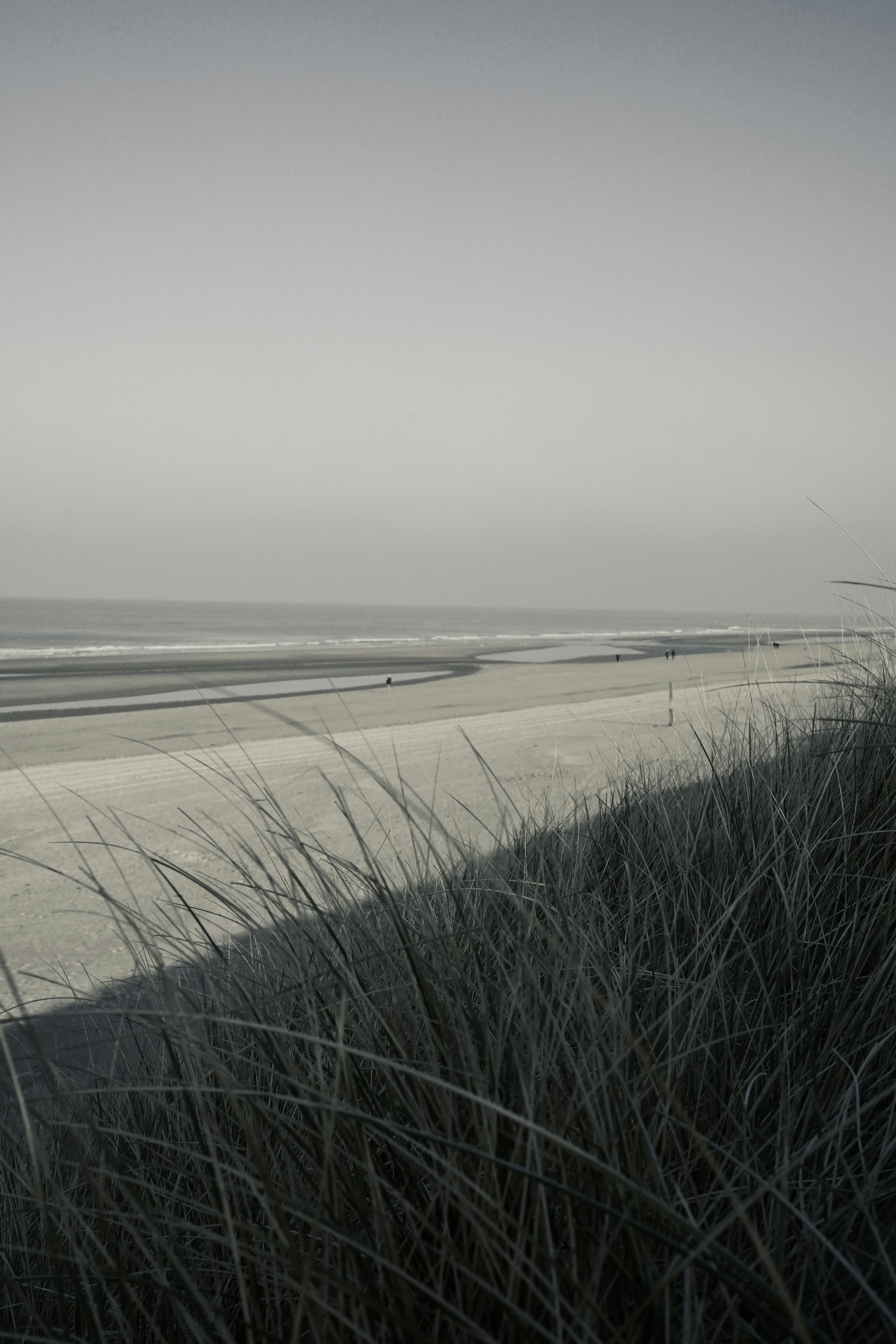Photo by sinthu