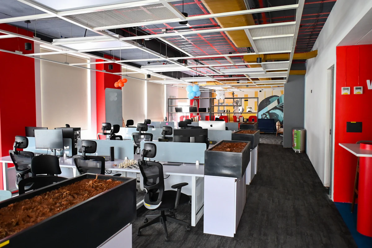Open-plan office with software developers at workstations