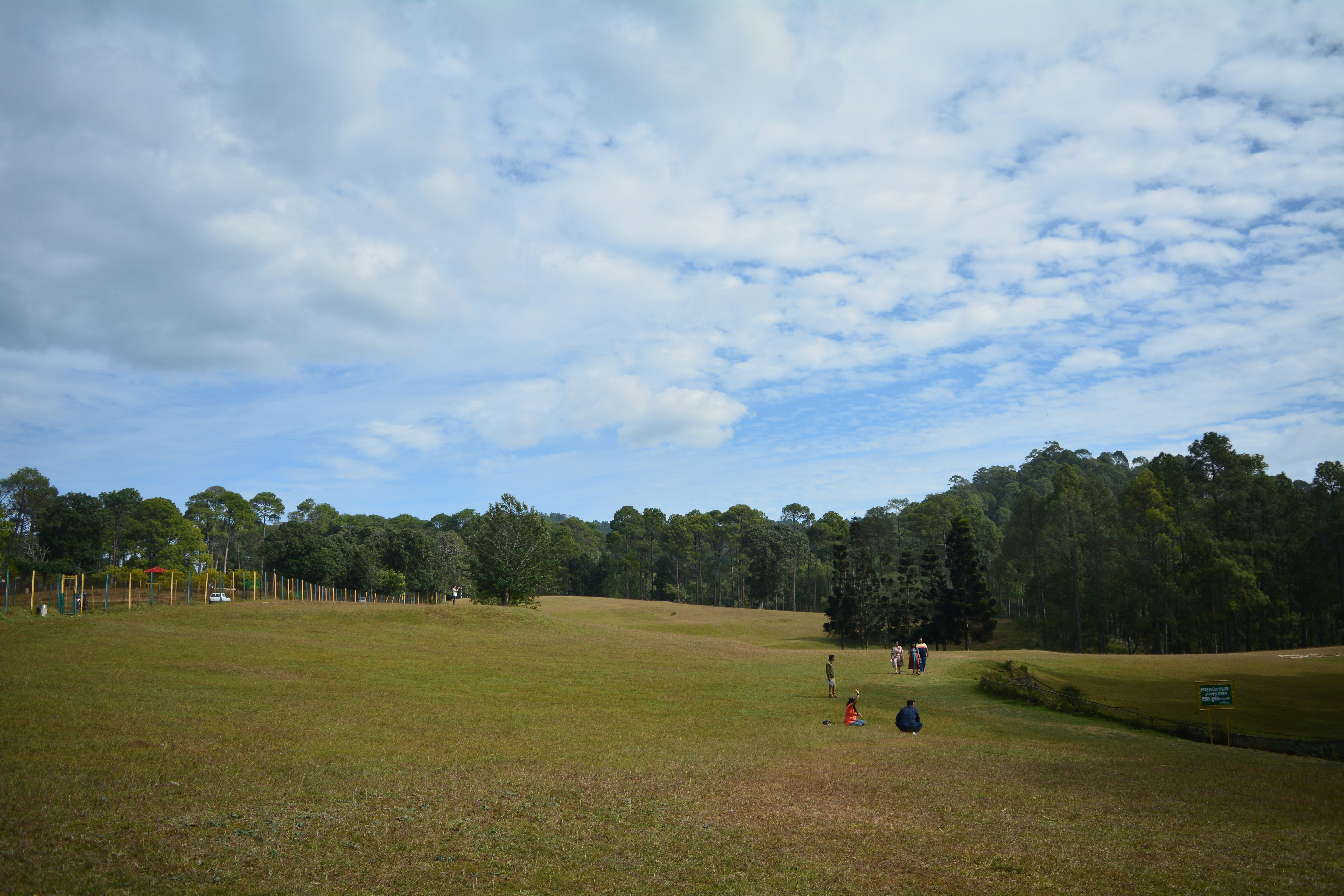 Grassy field with trees under a cloudy sky