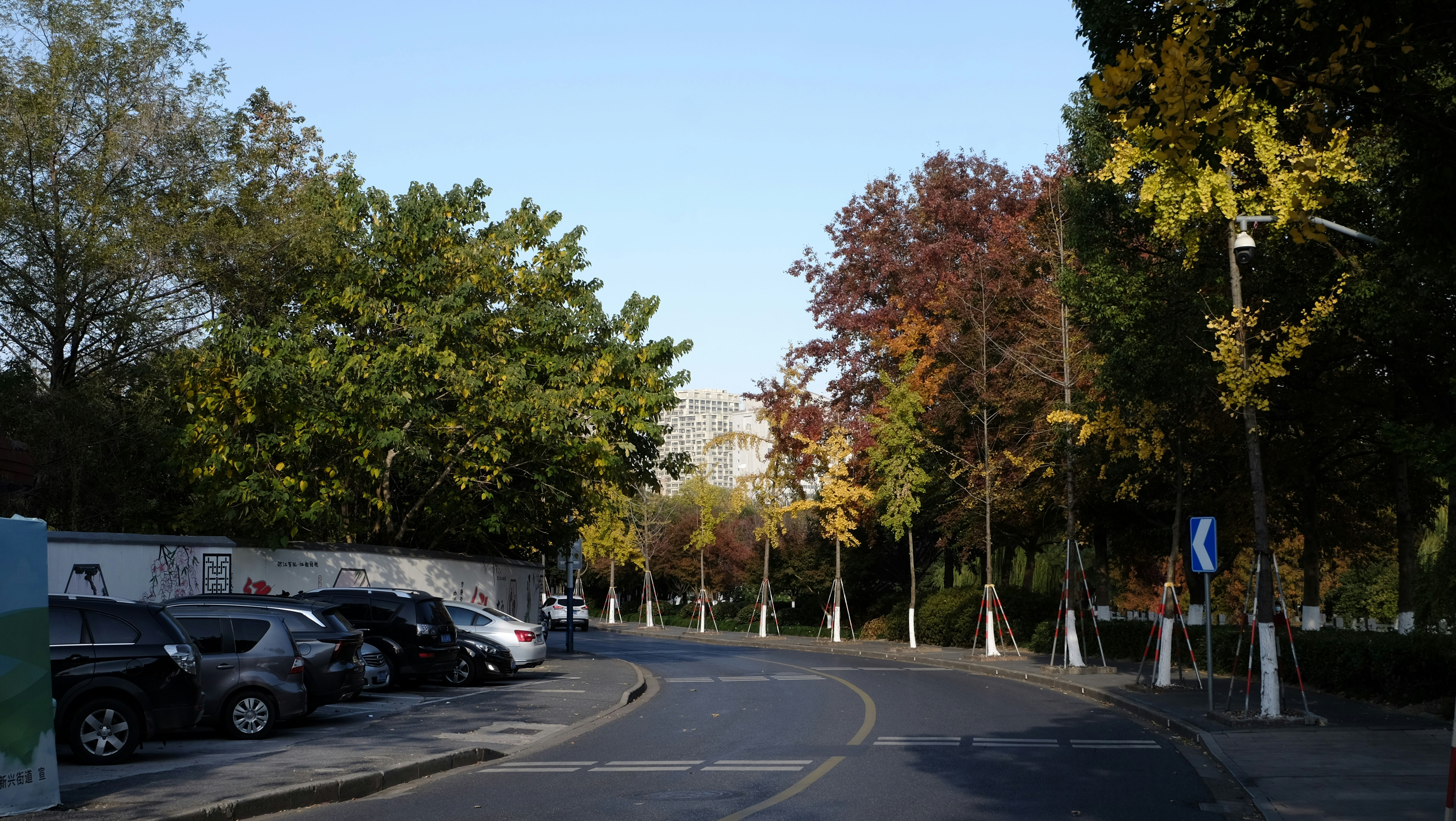 Photo by fullstop_lzjin