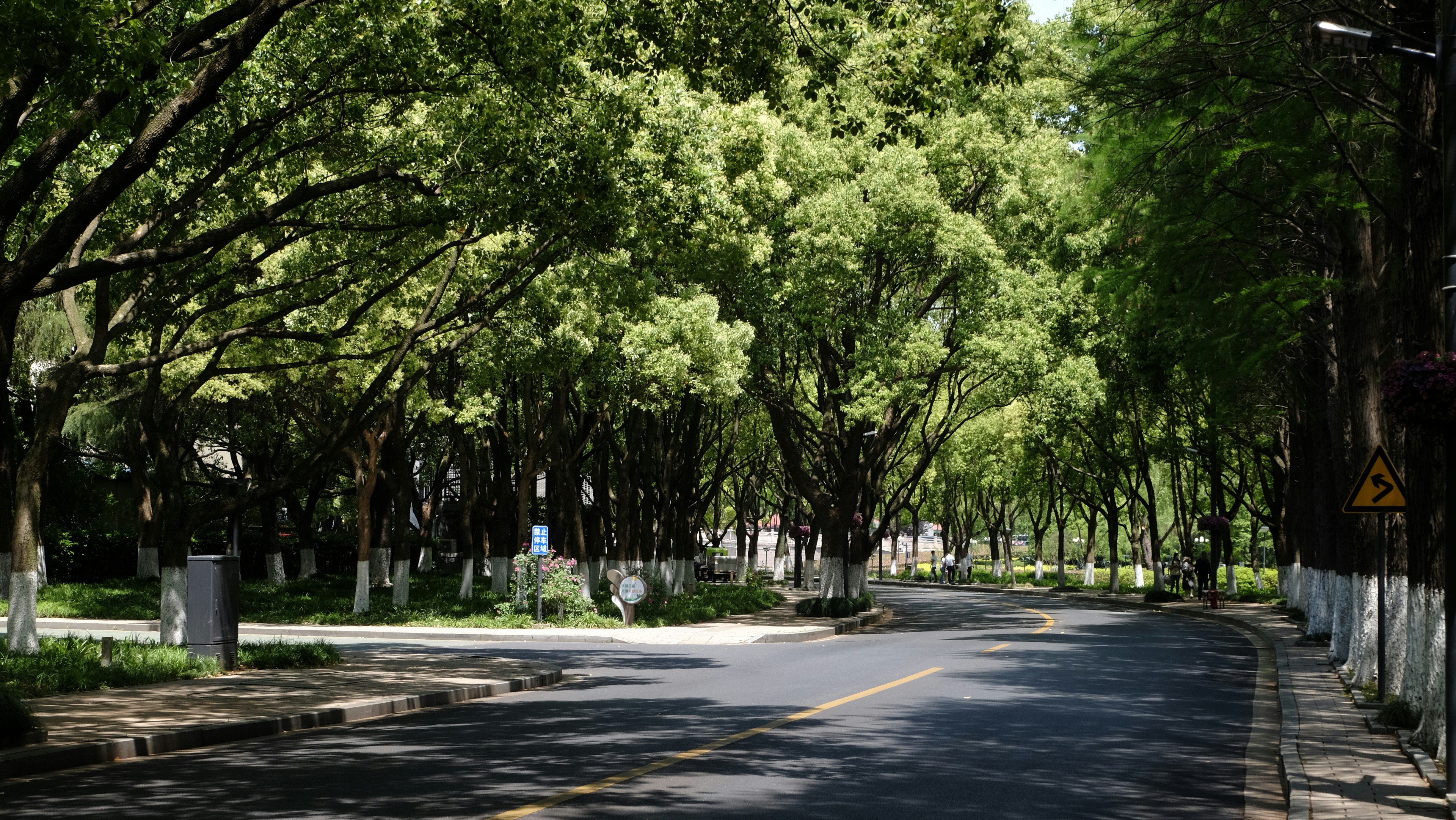 Photo by fullstop_lzjin