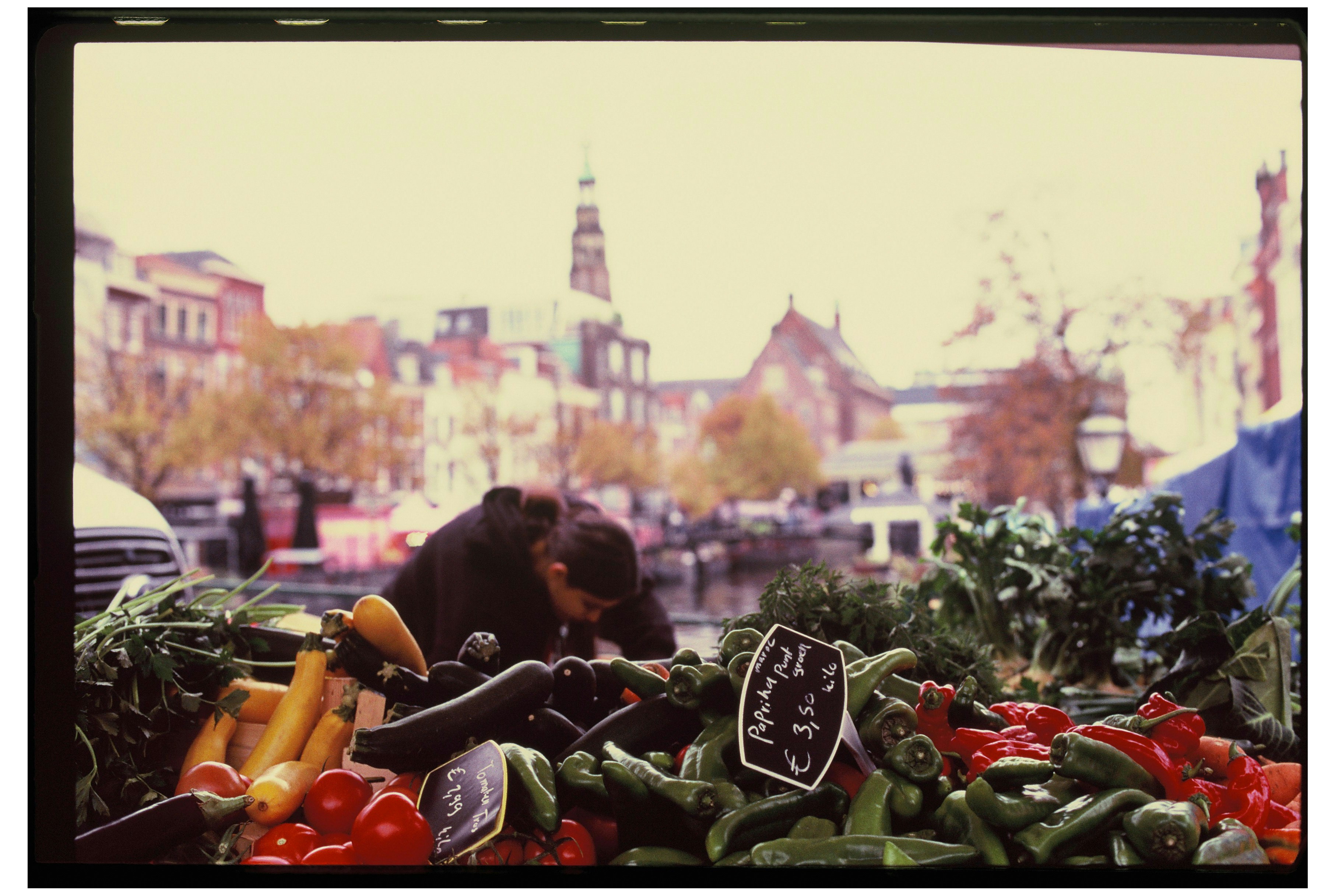 Healthy crops after using our products