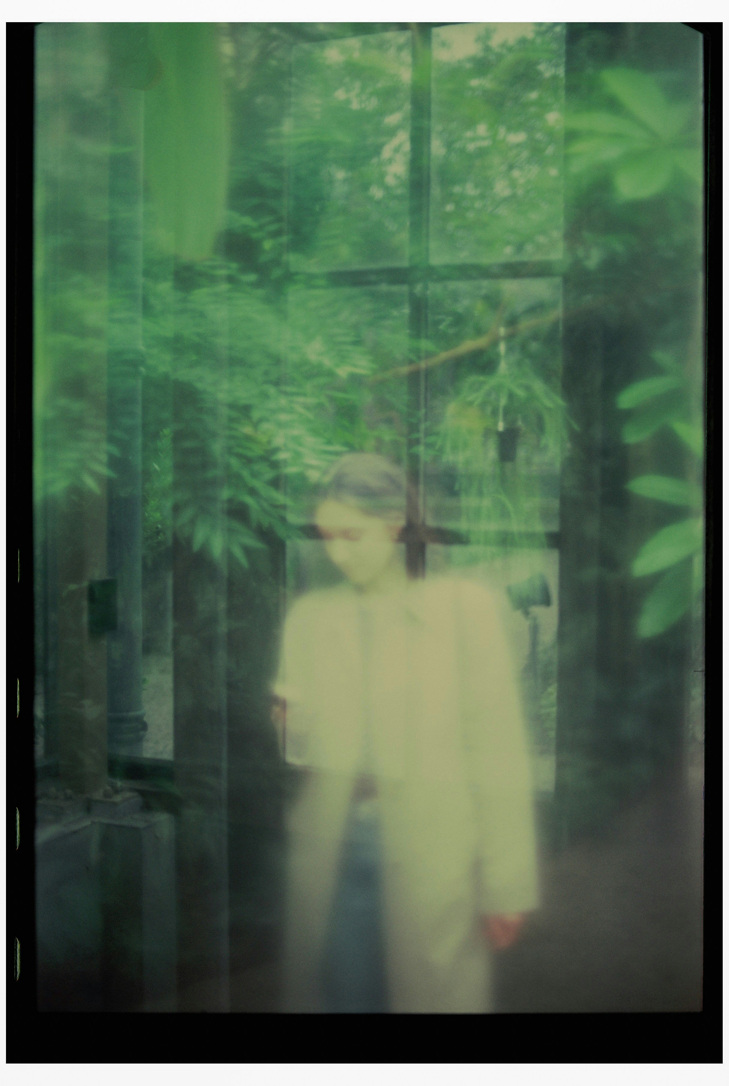 移情：从自我心理学到客体关系