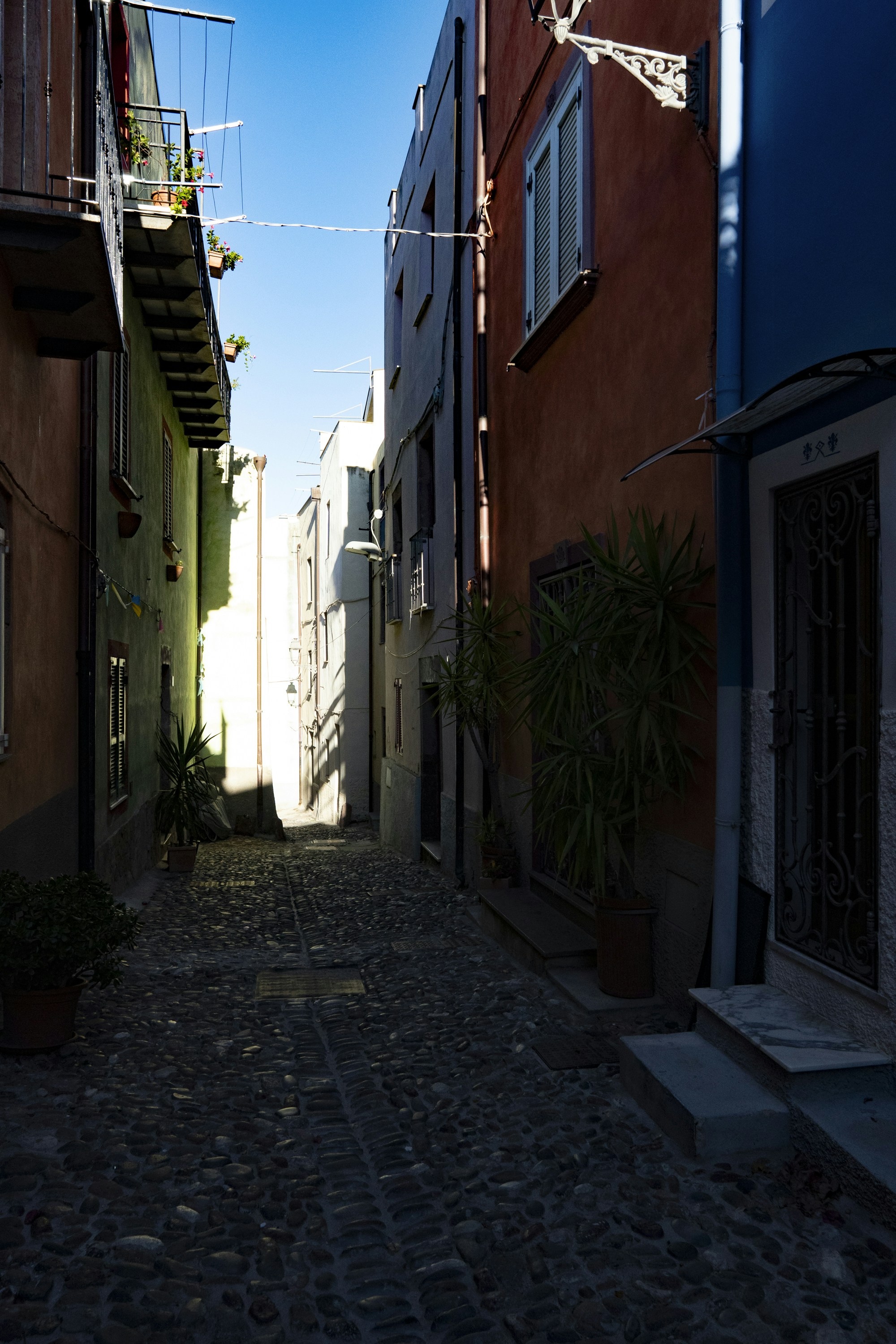 Photo by hanspetertraunig