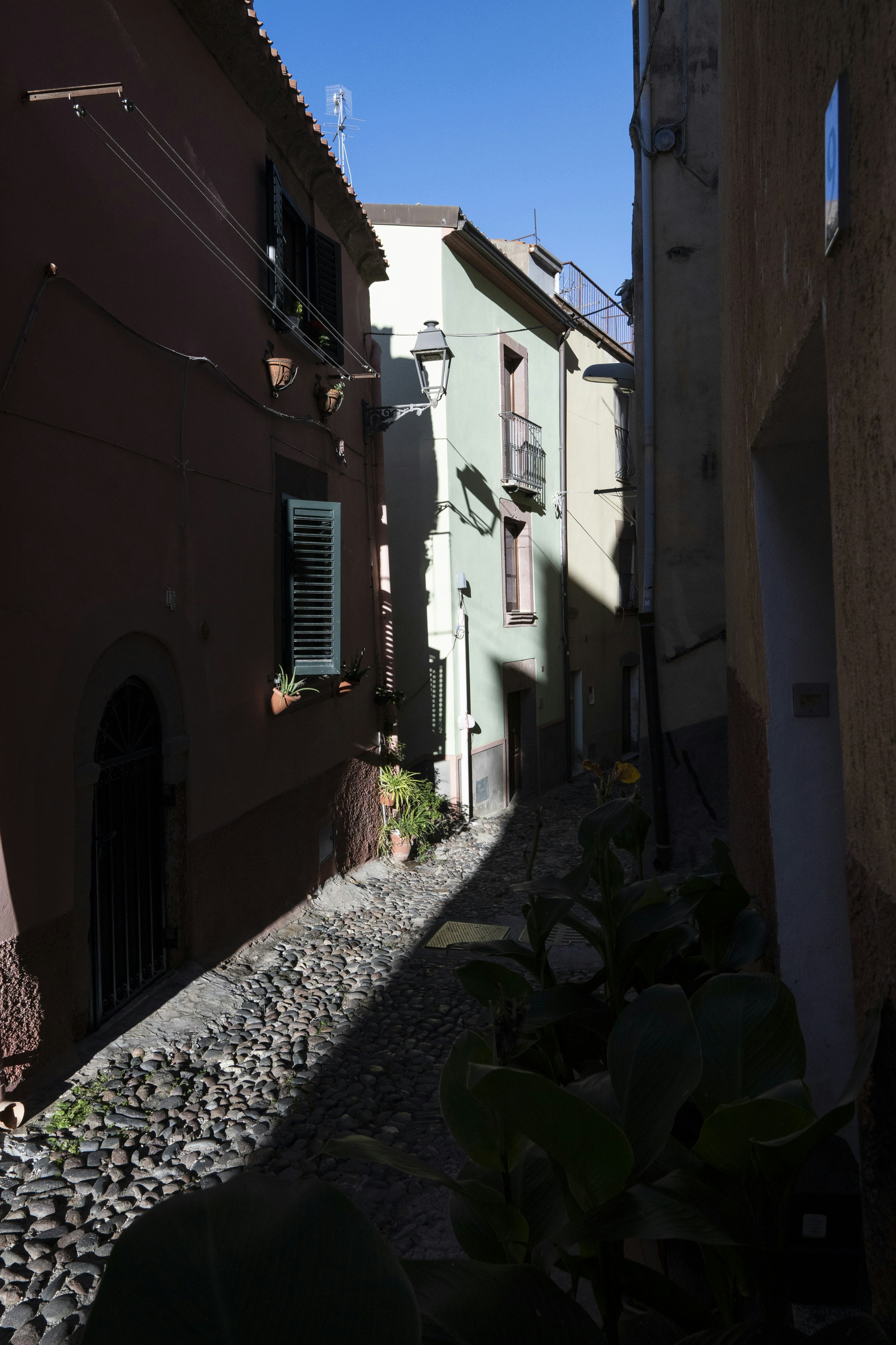 Photo by hanspetertraunig