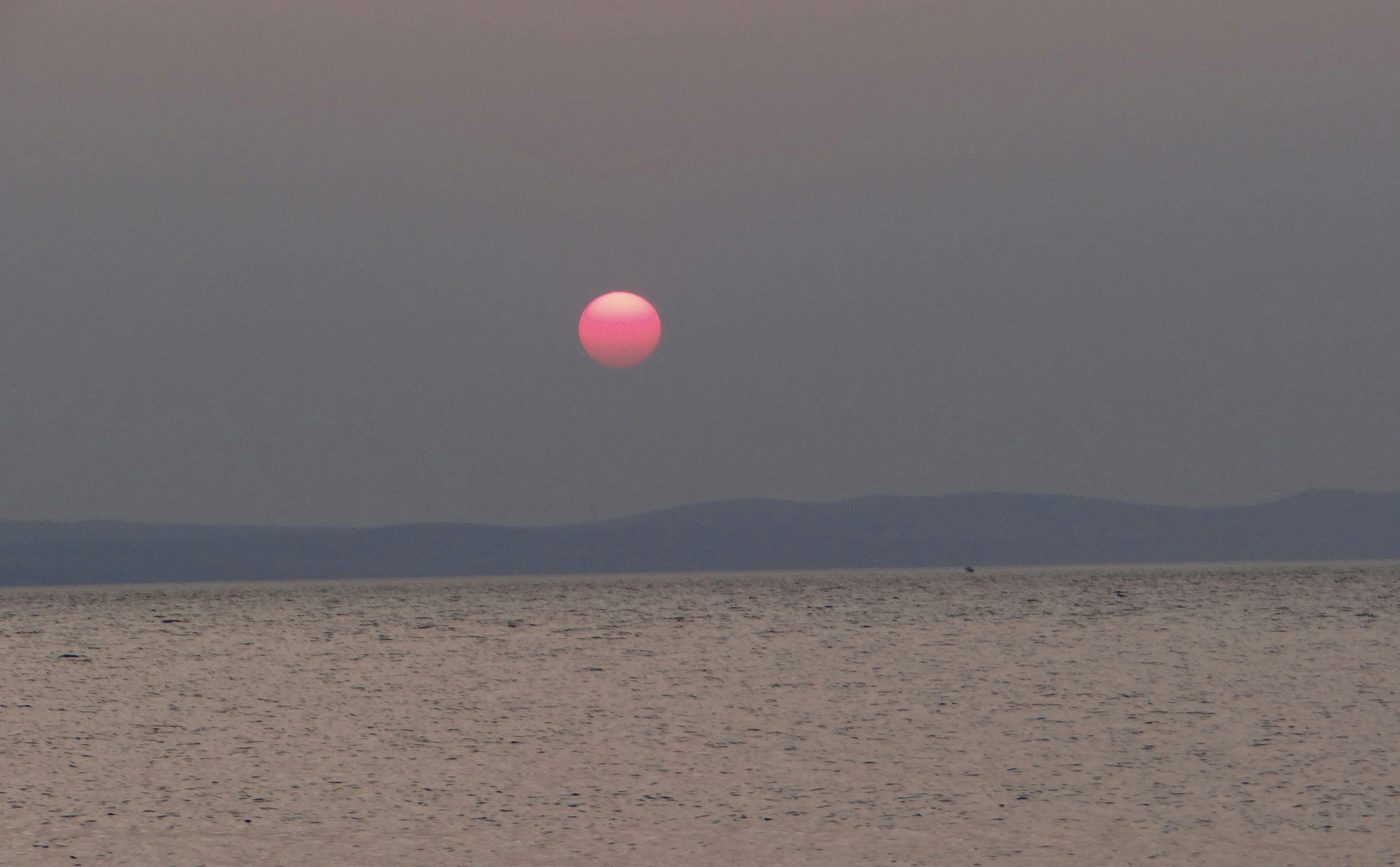 Pink sun setting over a calm ocean