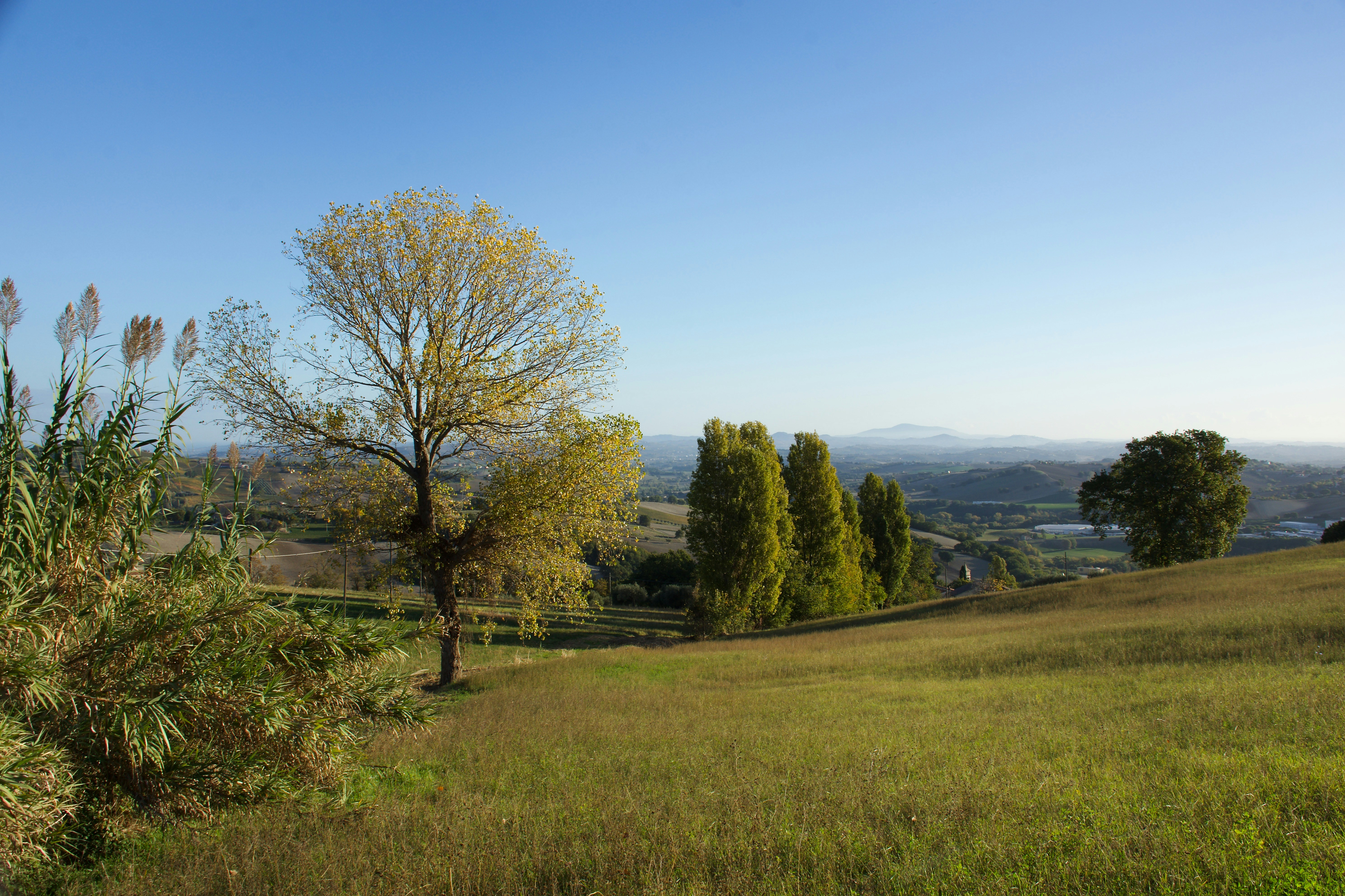 Photo by mariobeducci