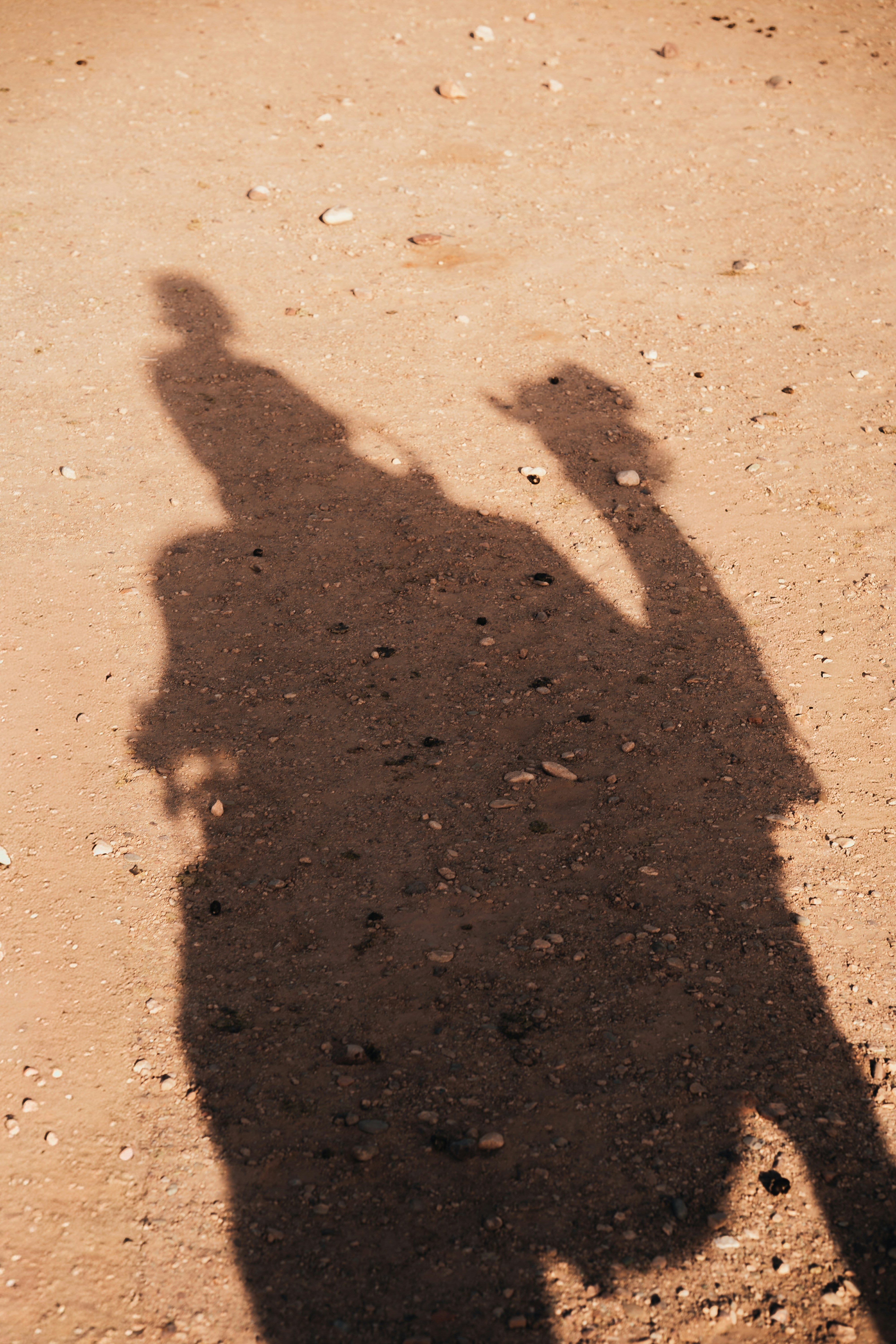 Photo by benjamin_photo_lab